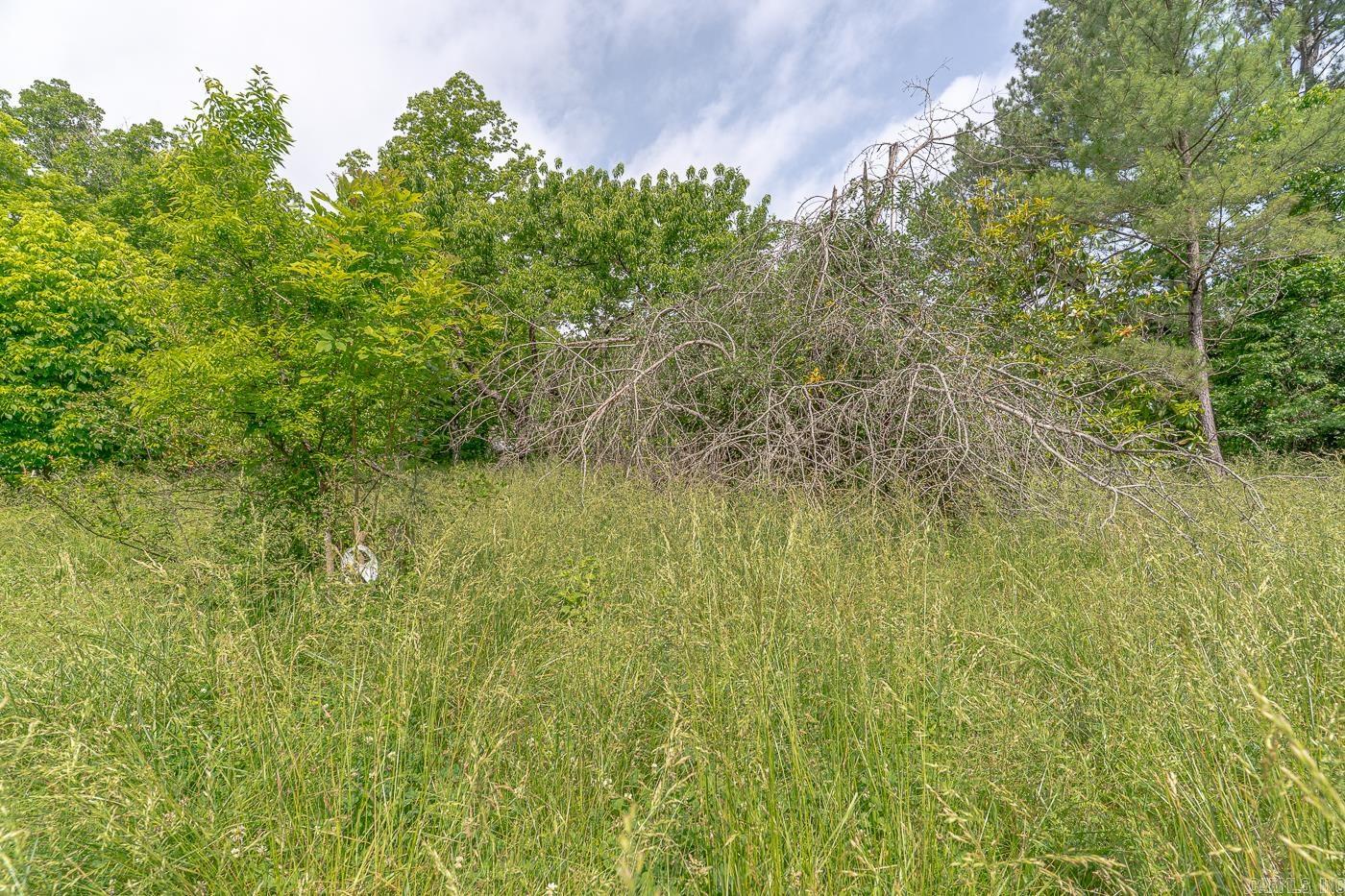 1788  Weatherstone Rd  Mammoth Spring, AR