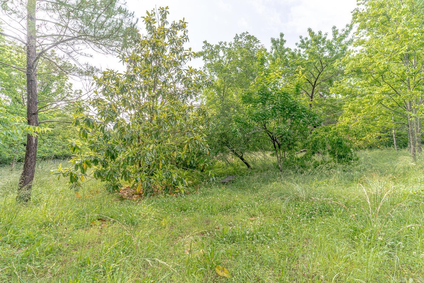 1788  Weatherstone Rd  Mammoth Spring, AR