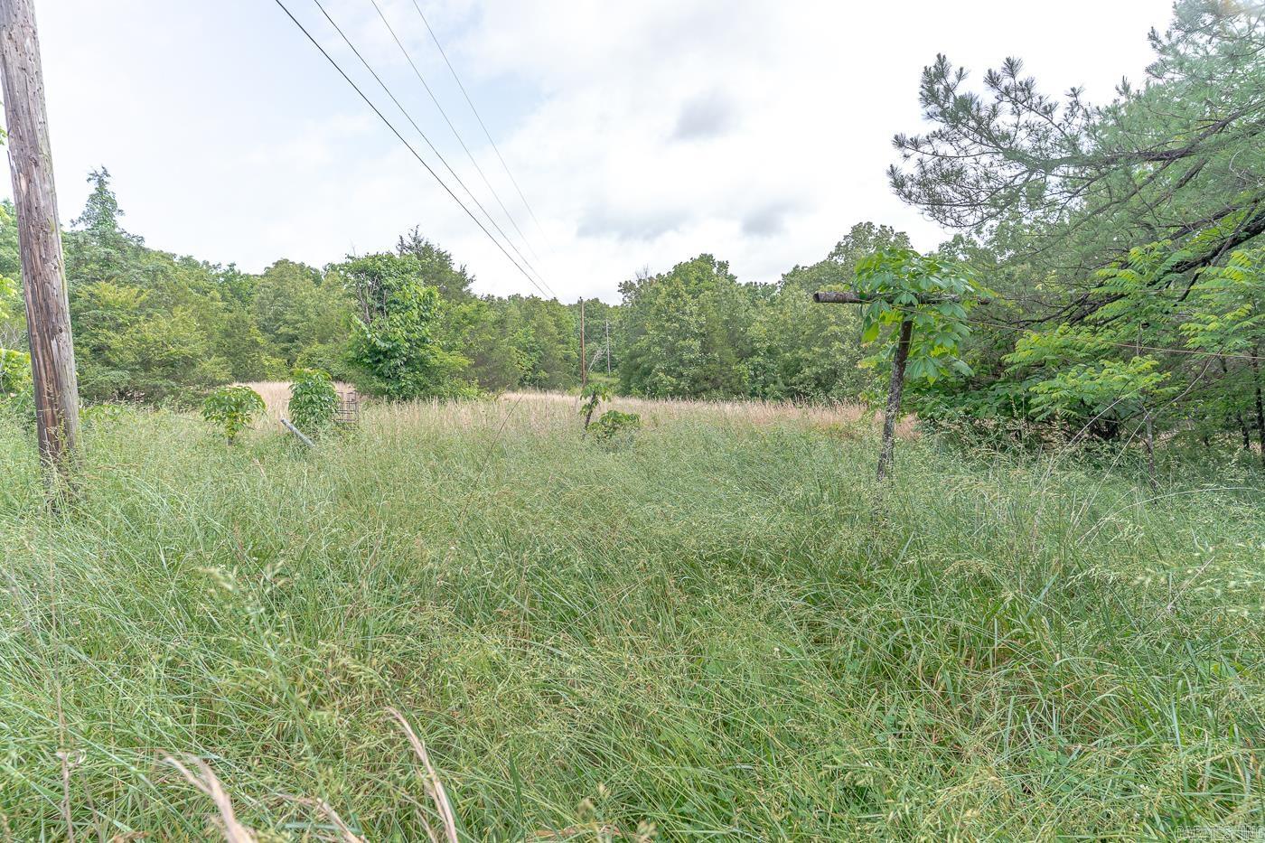 1788  Weatherstone Rd  Mammoth Spring, AR