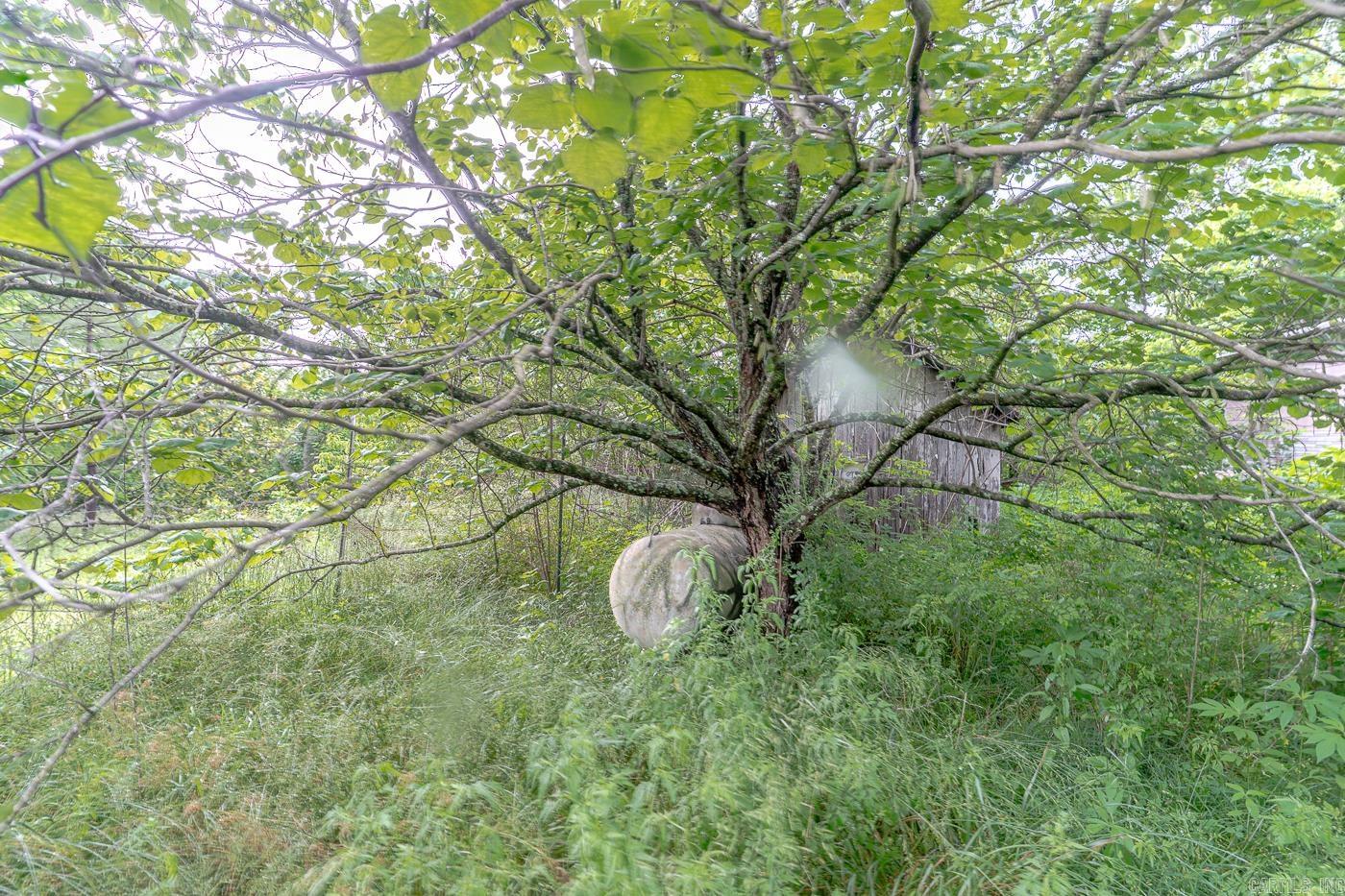 1788  Weatherstone Rd  Mammoth Spring, AR