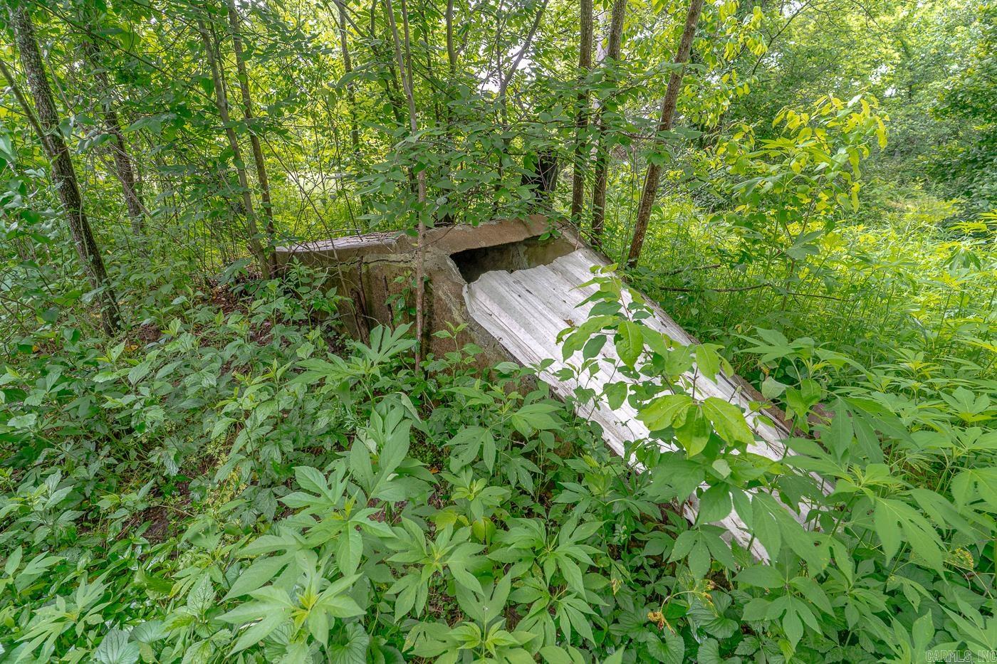 1788  Weatherstone Rd  Mammoth Spring, AR