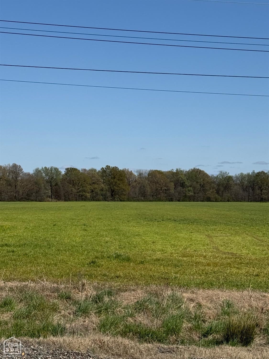 10506 N Hwy 49  Brookland, AR