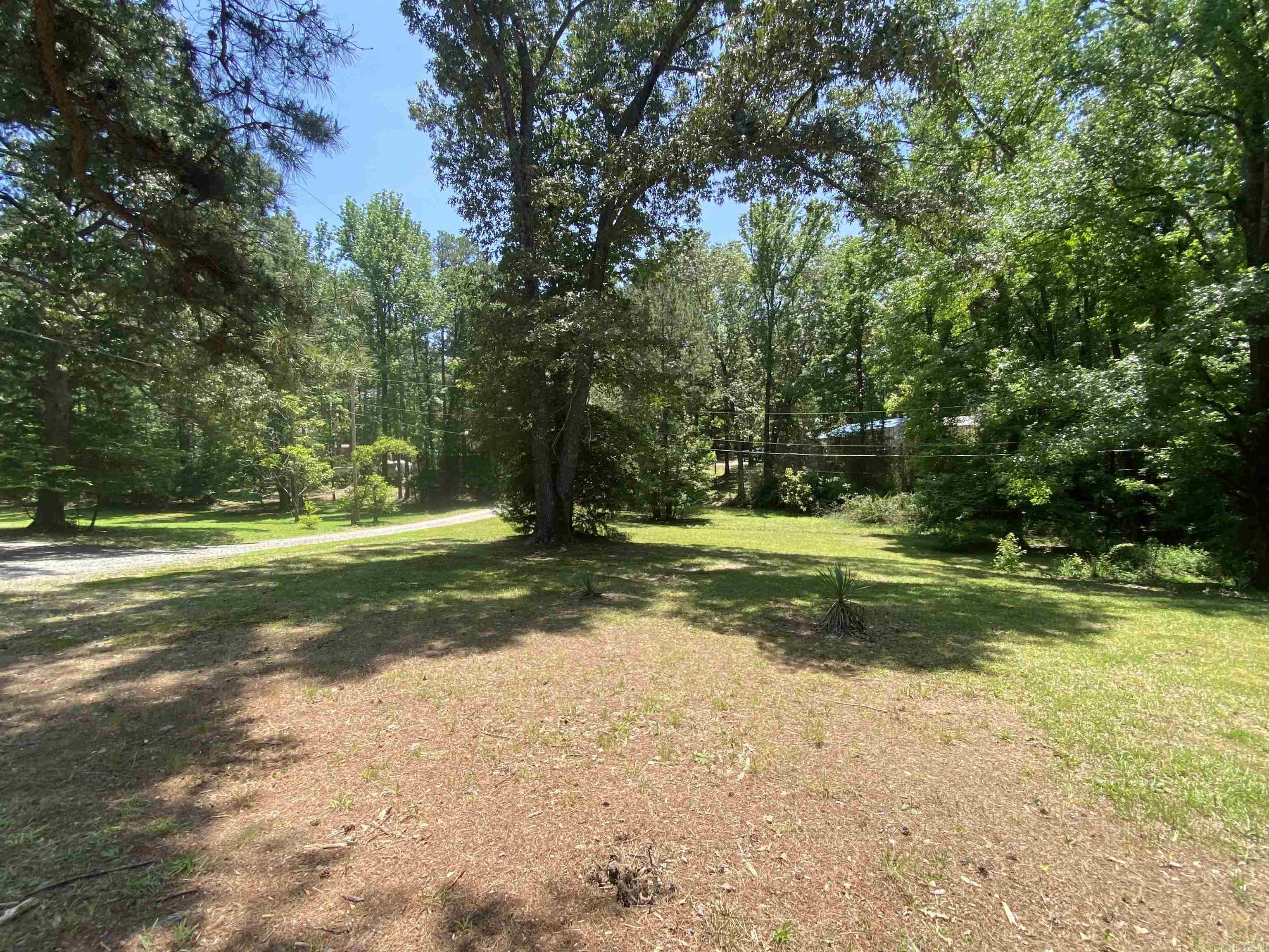 47  Eagle  Mount Ida, AR