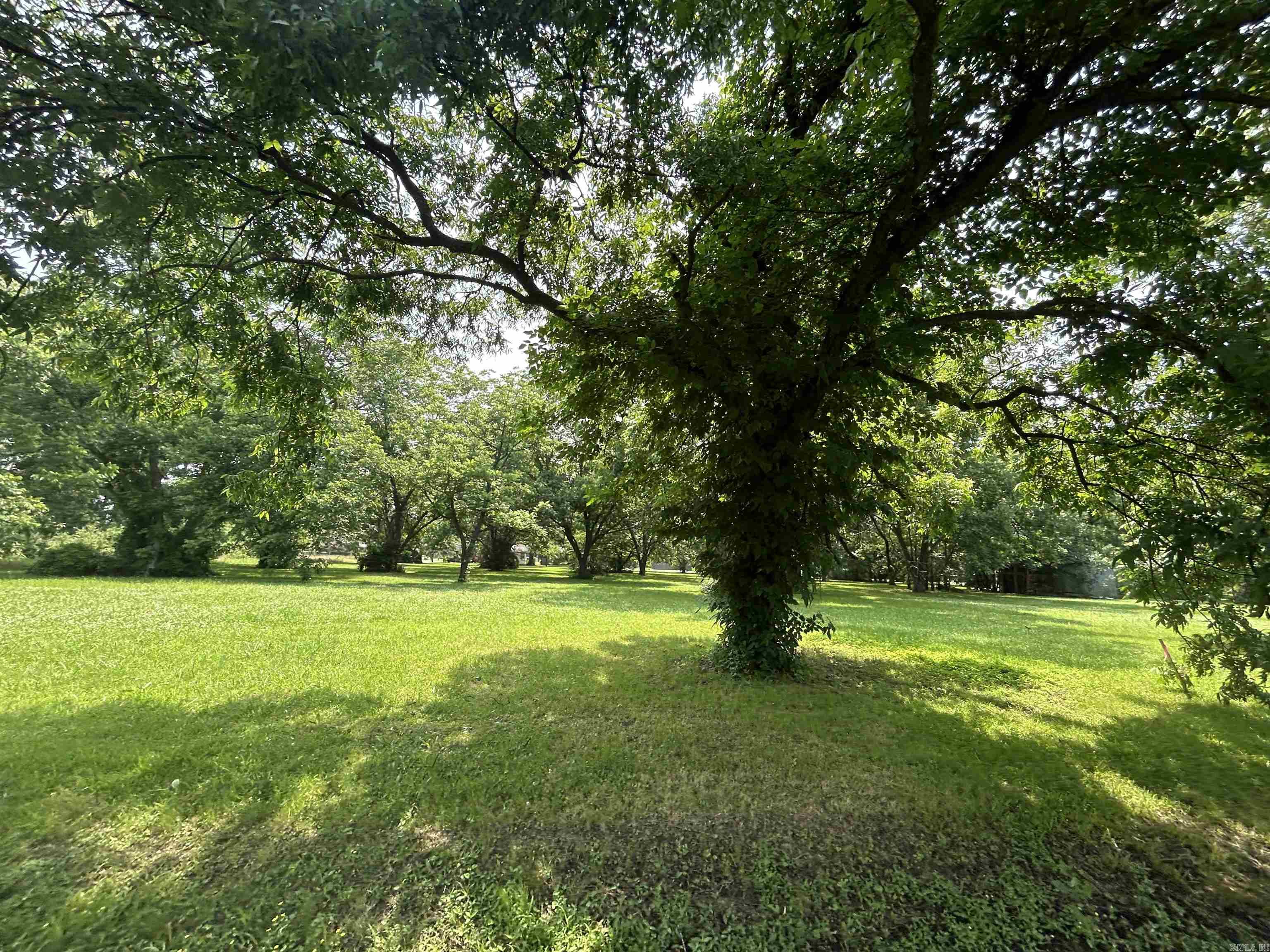 Lot 3  Block L, N Lowe St  Stuttgart, AR