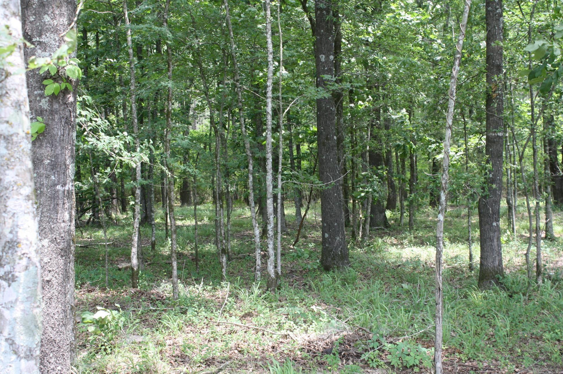   Hwy. 278 & Hempstead 313  Nashville, AR