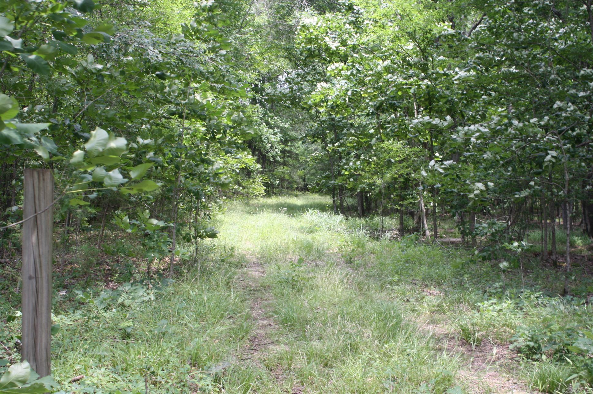   Hwy. 278 & Hempstead 313  Nashville, AR