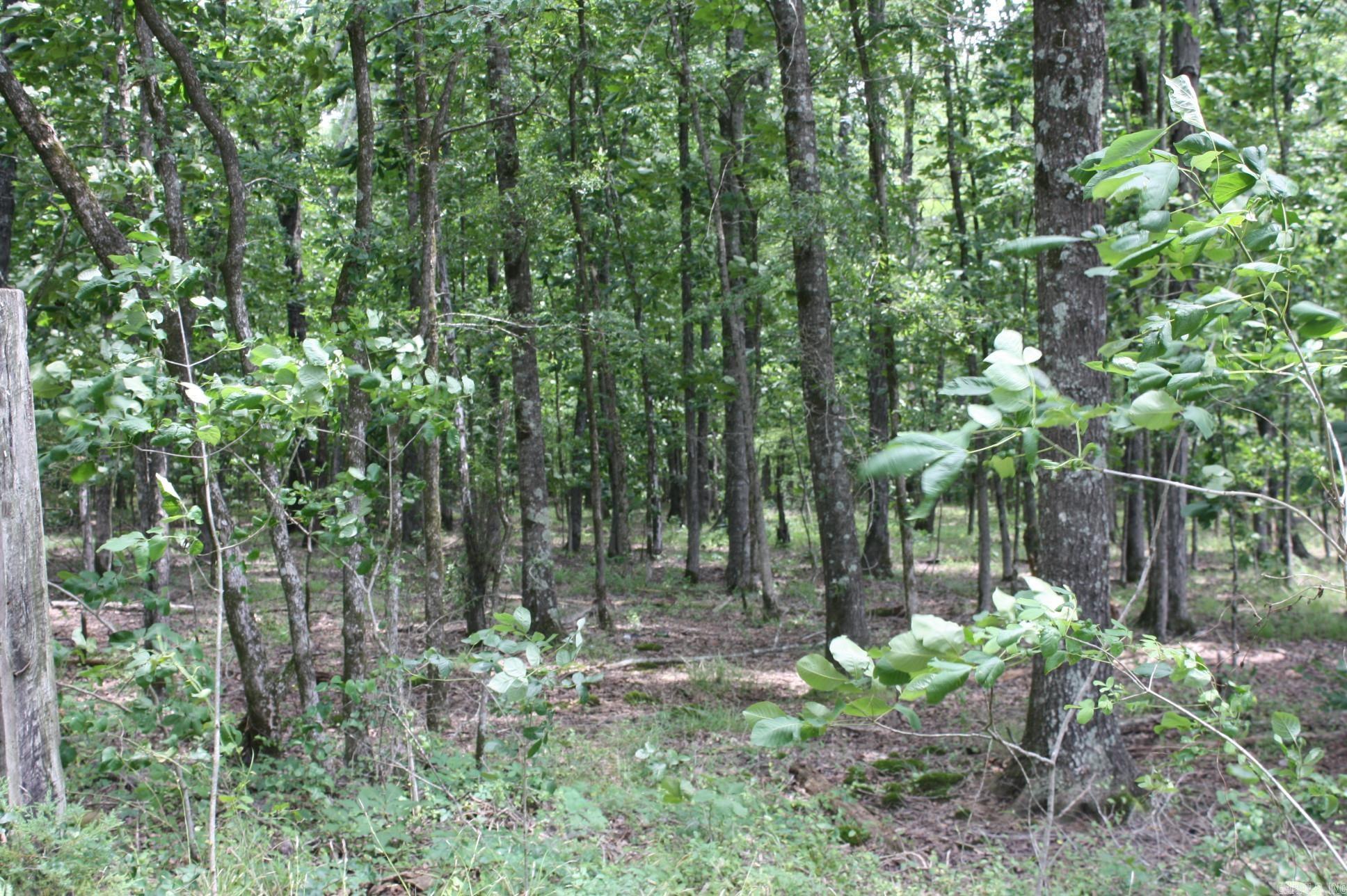   Hwy. 278 & Hempstead 313  Nashville, AR