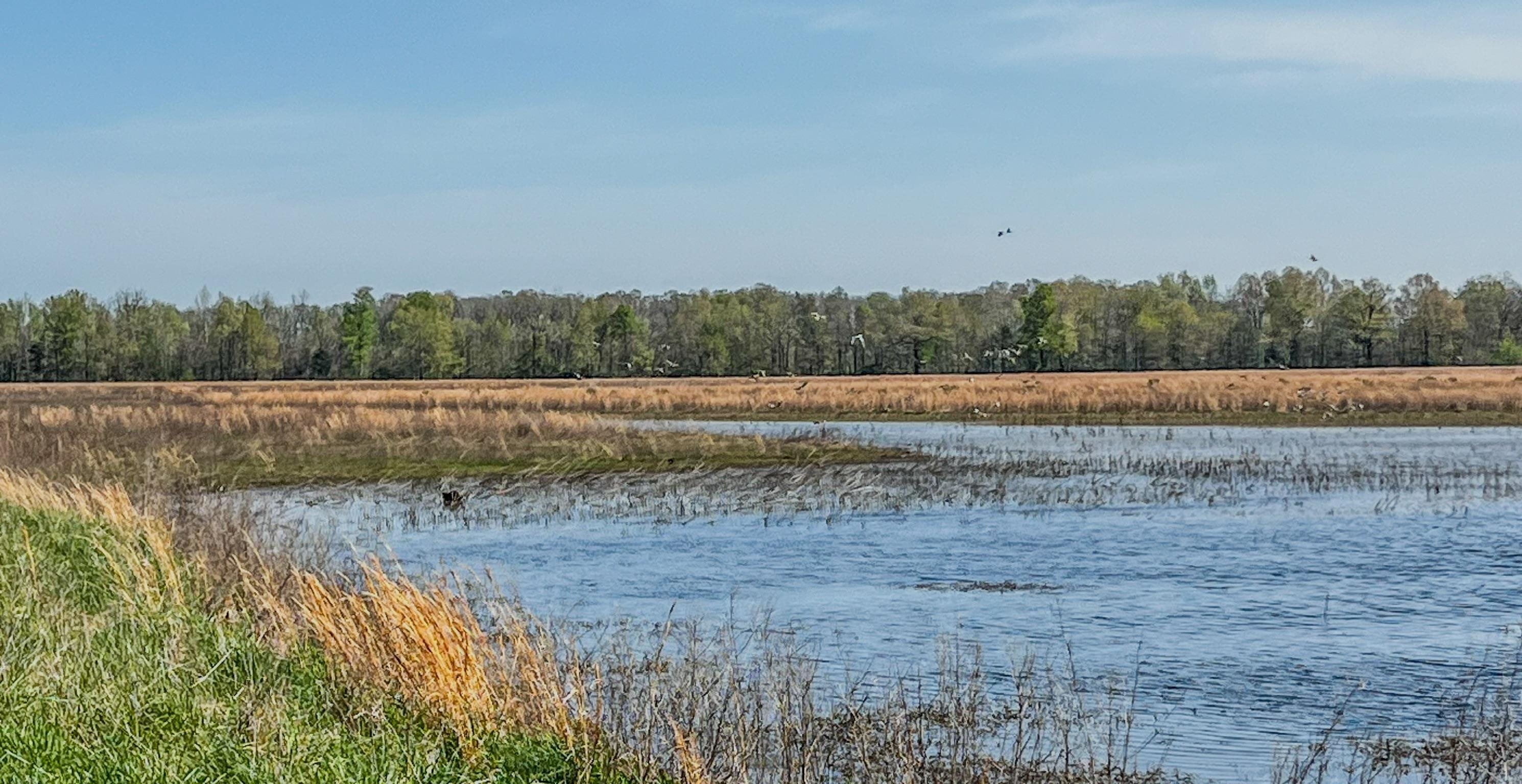 1962 acres  Upper Lockhart Road  Cord, AR