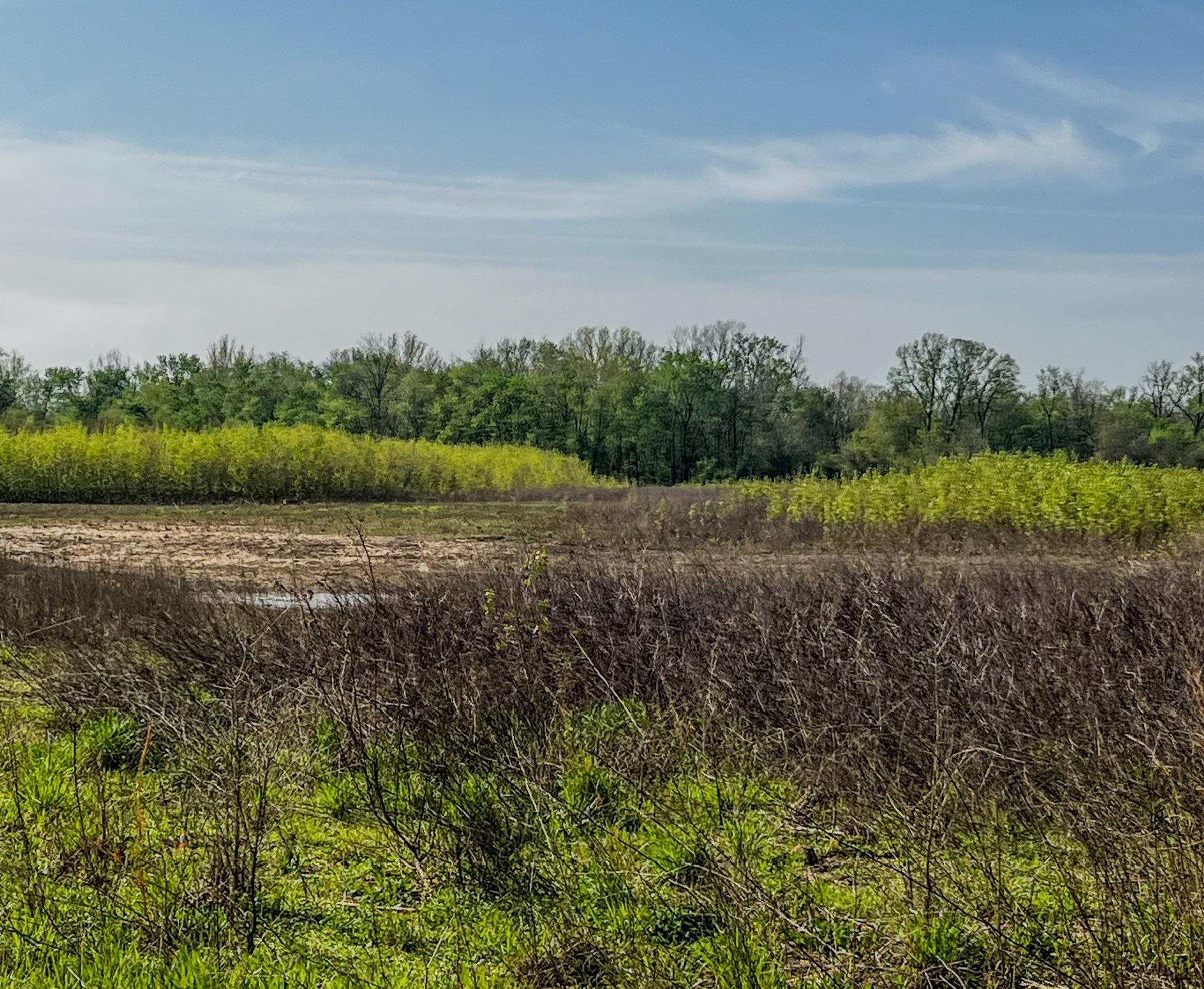 1962 acres  Upper Lockhart Road  Cord, AR