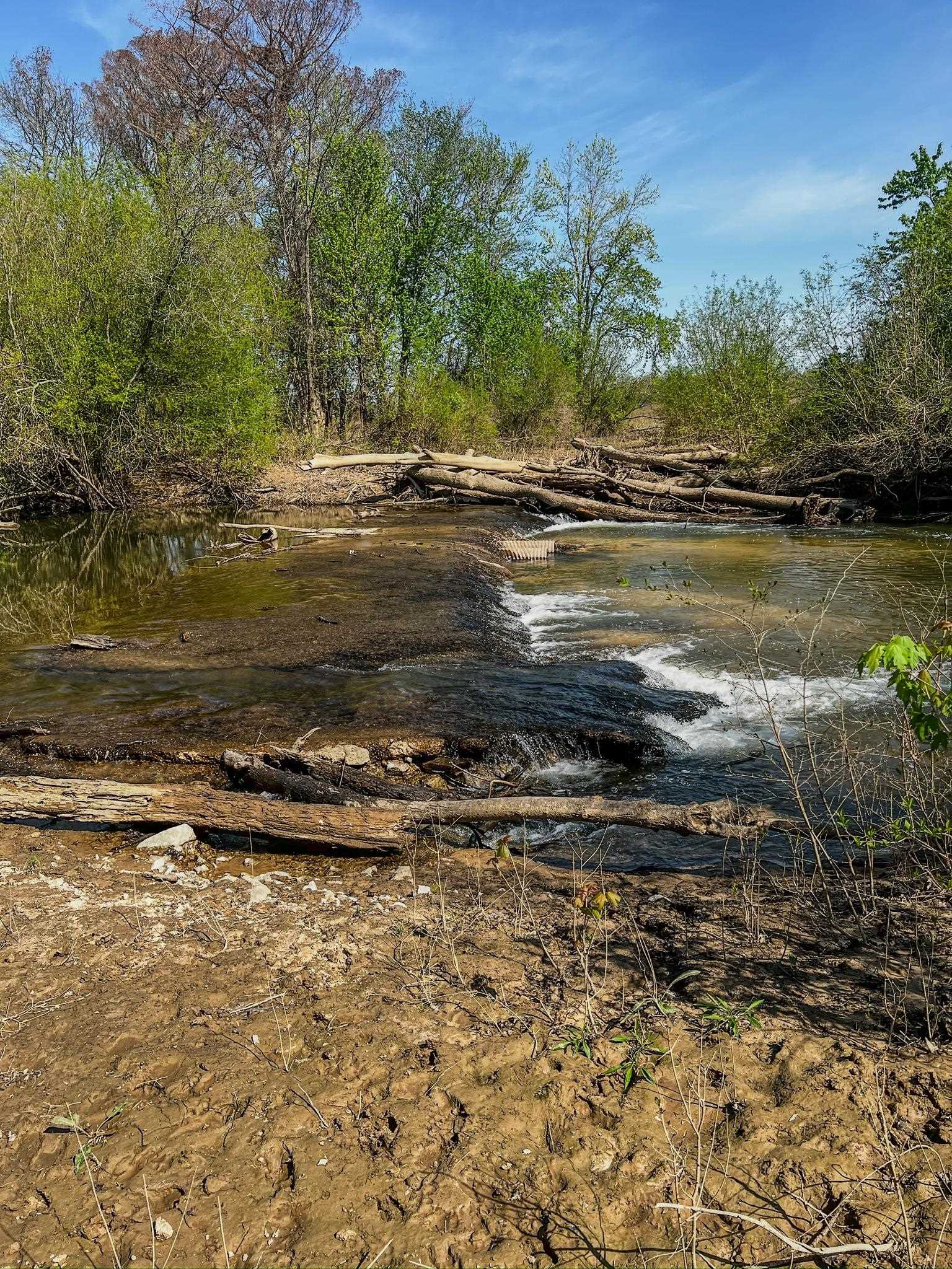 1962 acres  Upper Lockhart Road  Cord, AR