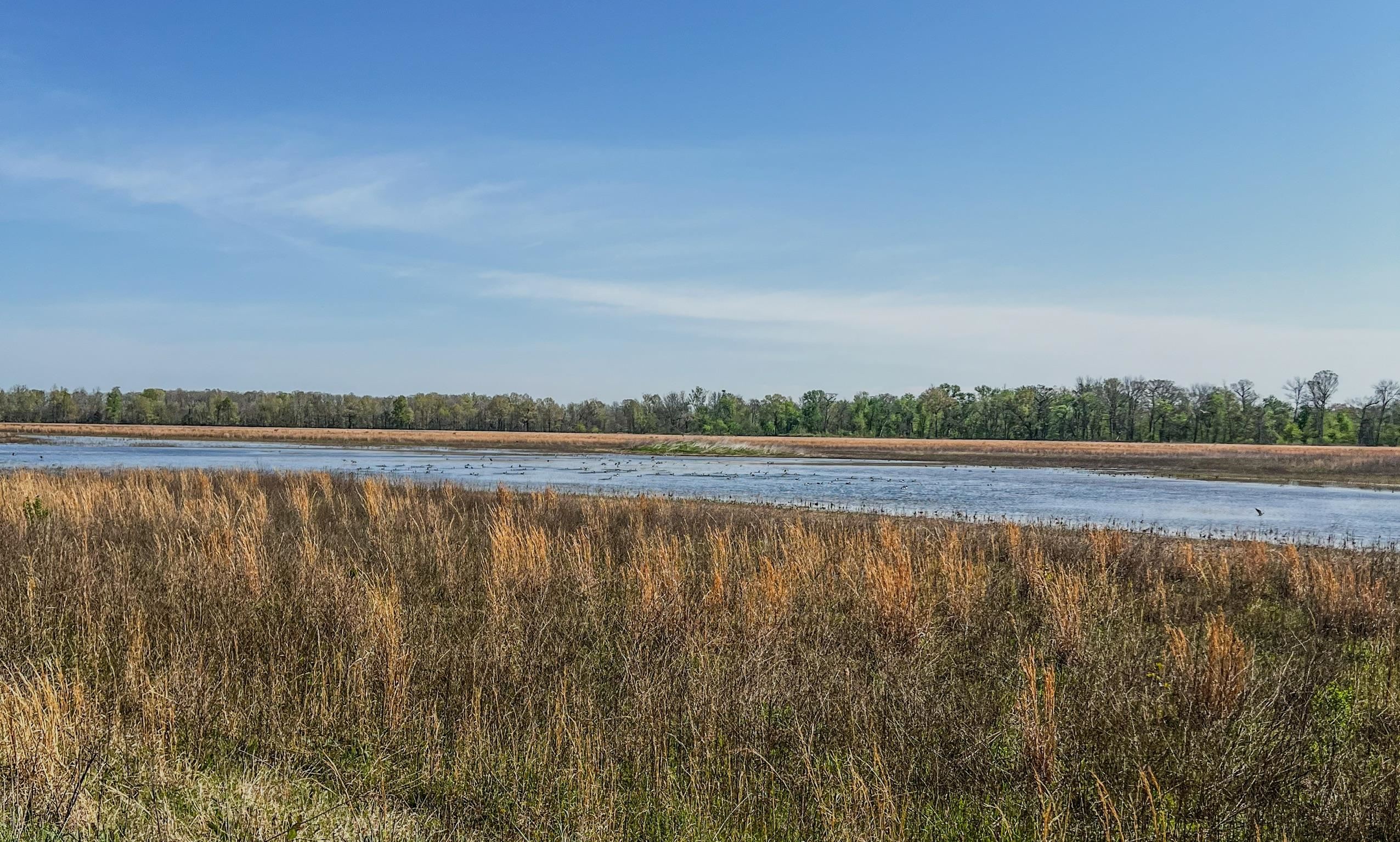 1962 acres  Upper Lockhart Road  Cord, AR