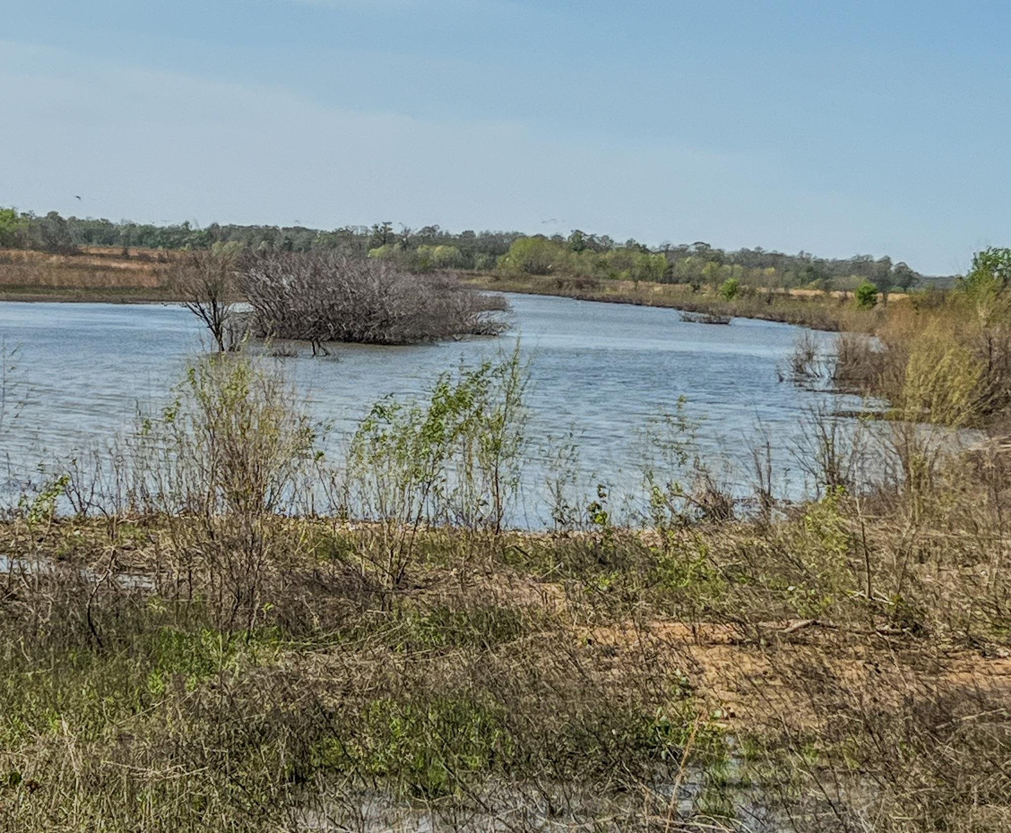 1962 acres  Upper Lockhart Road  Cord, AR