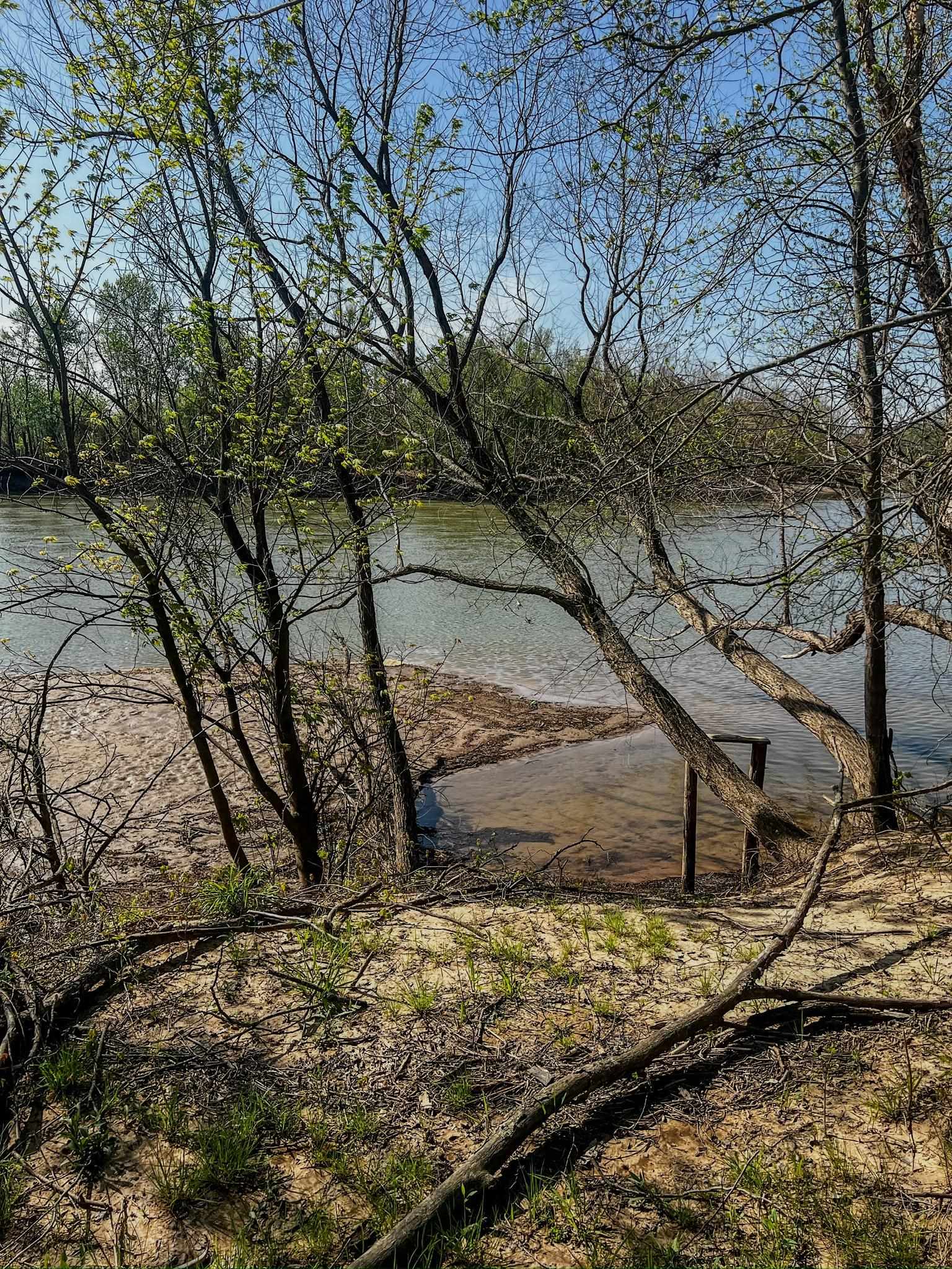 1962 acres  Upper Lockhart Road  Cord, AR