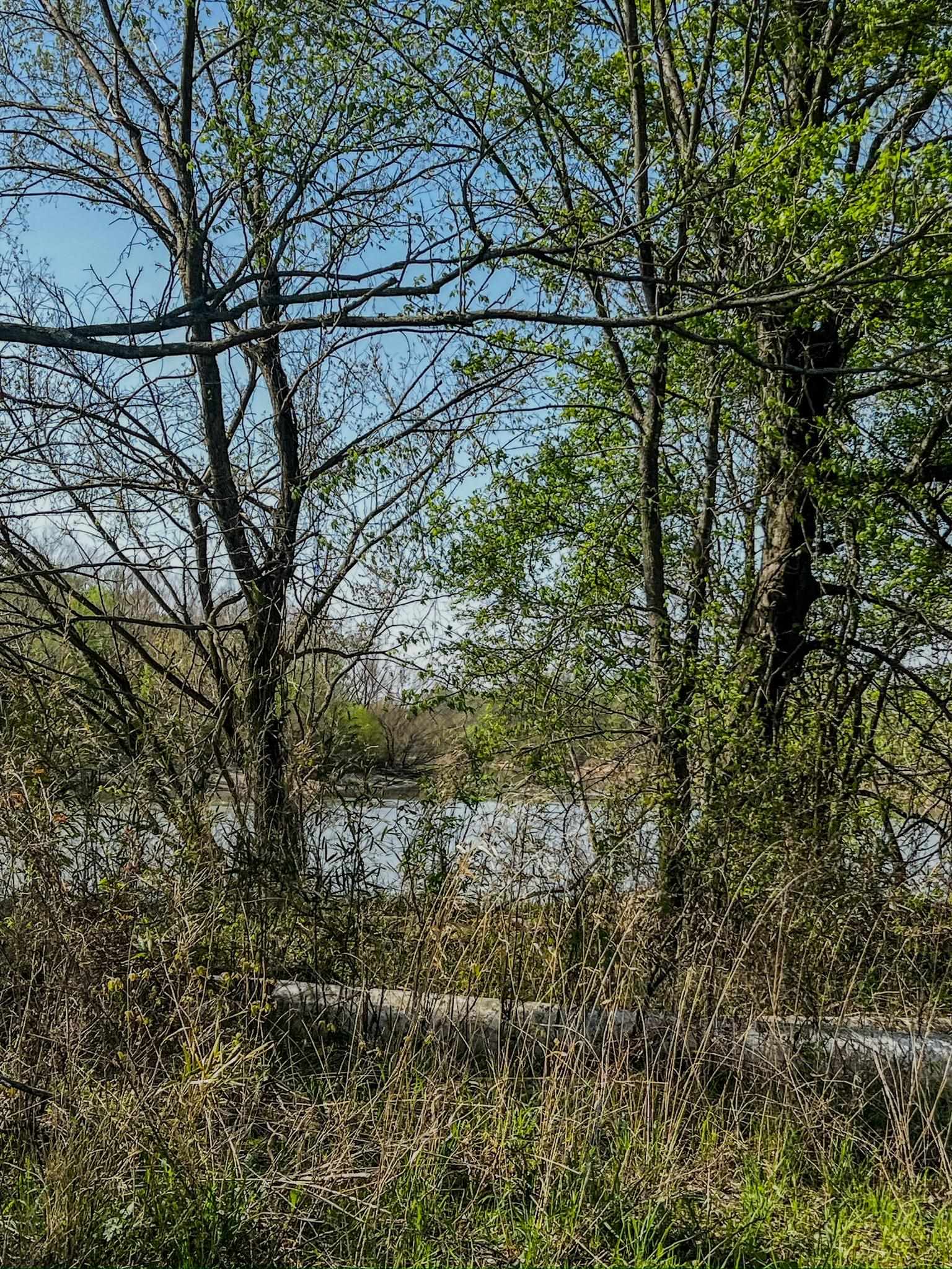 1962 acres  Upper Lockhart Road  Cord, AR