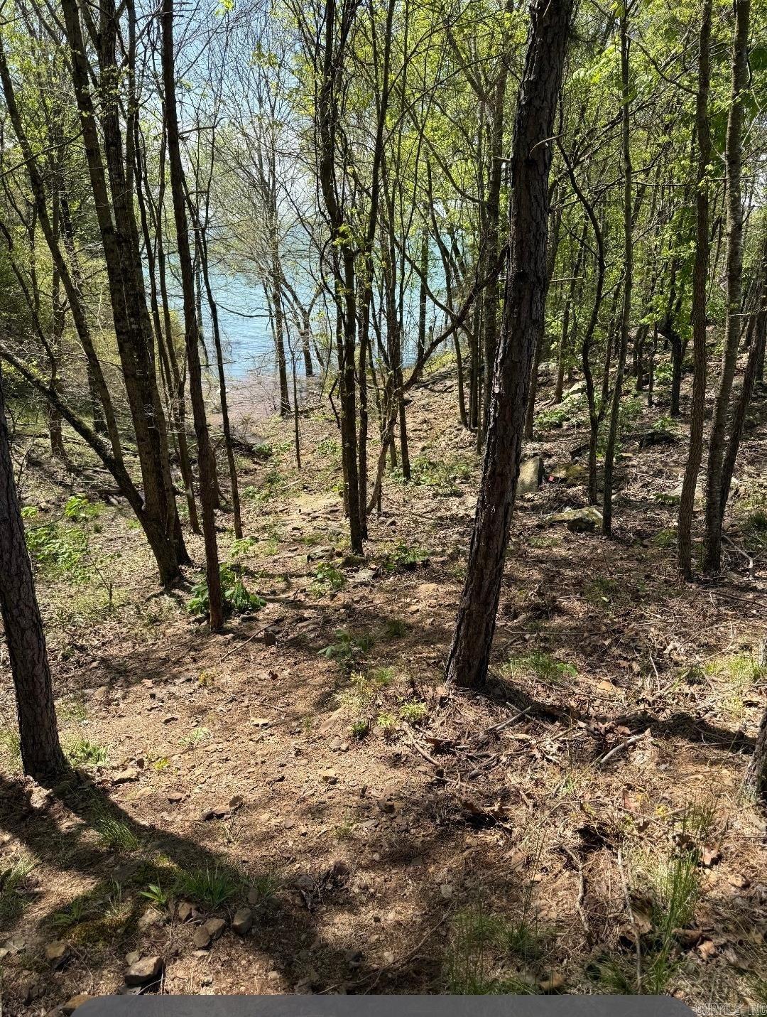 2634  Tannenbaum  Drasco, AR