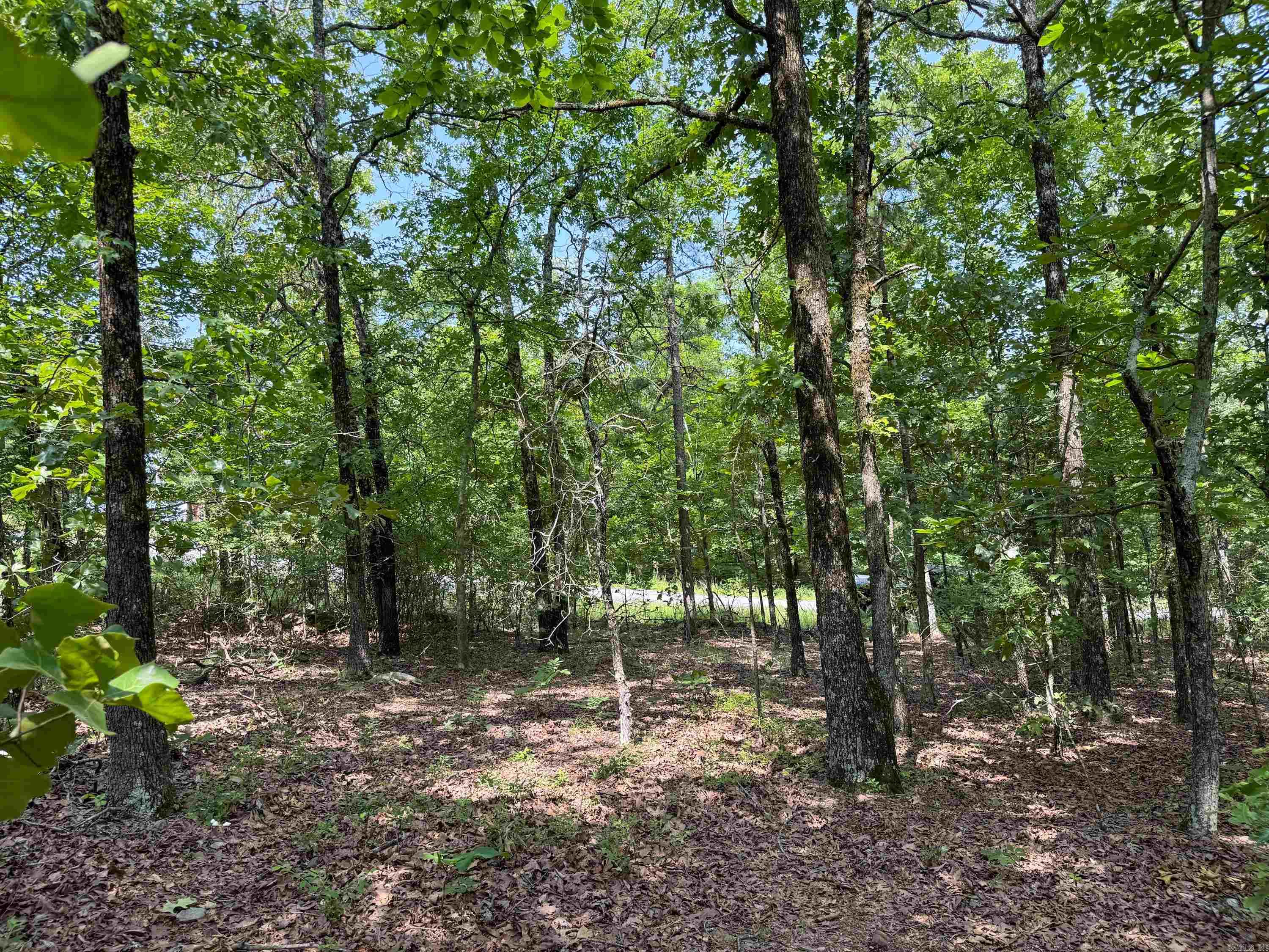 38  High Point  Mayflower, AR