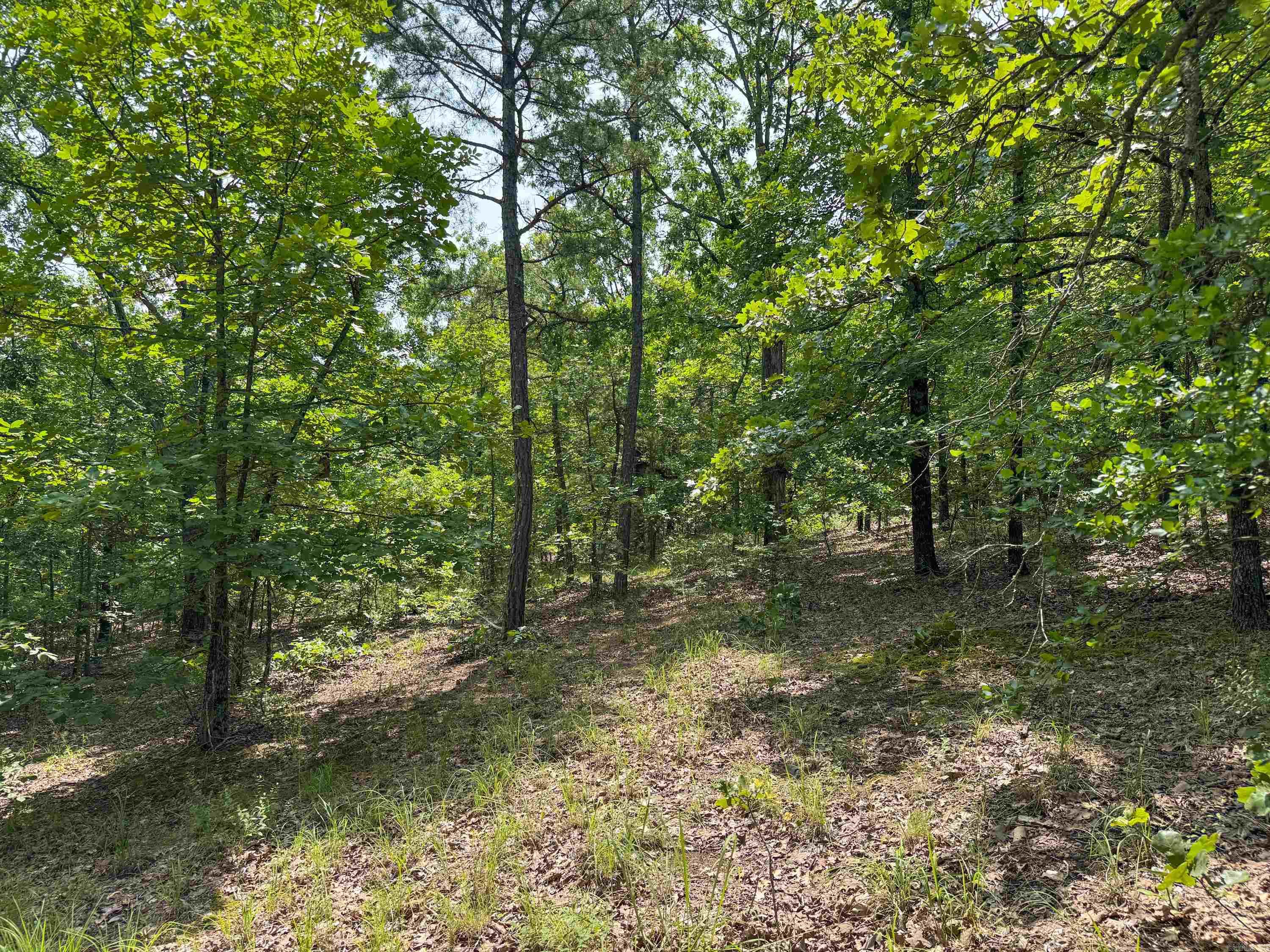 38  High Point  Mayflower, AR