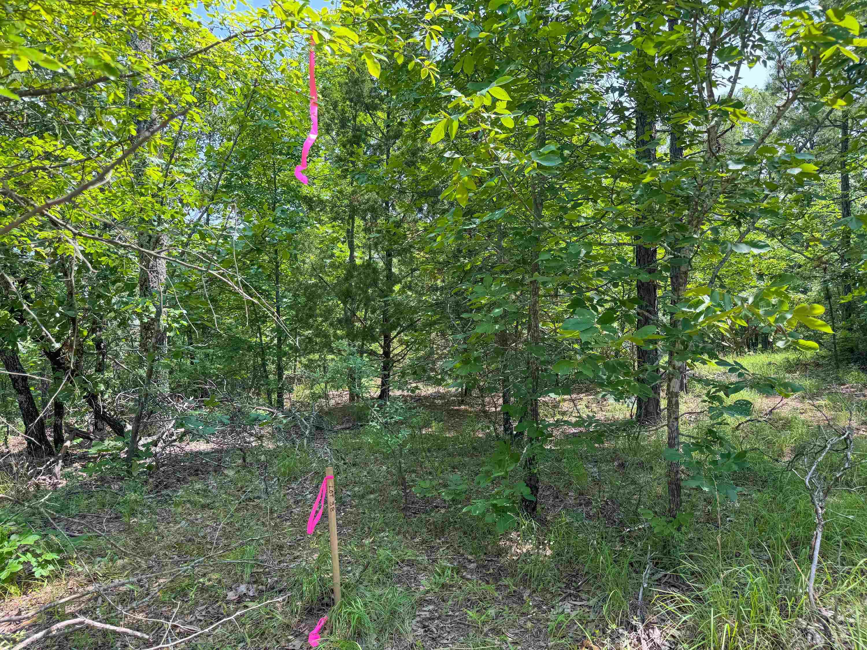 38  High Point  Mayflower, AR