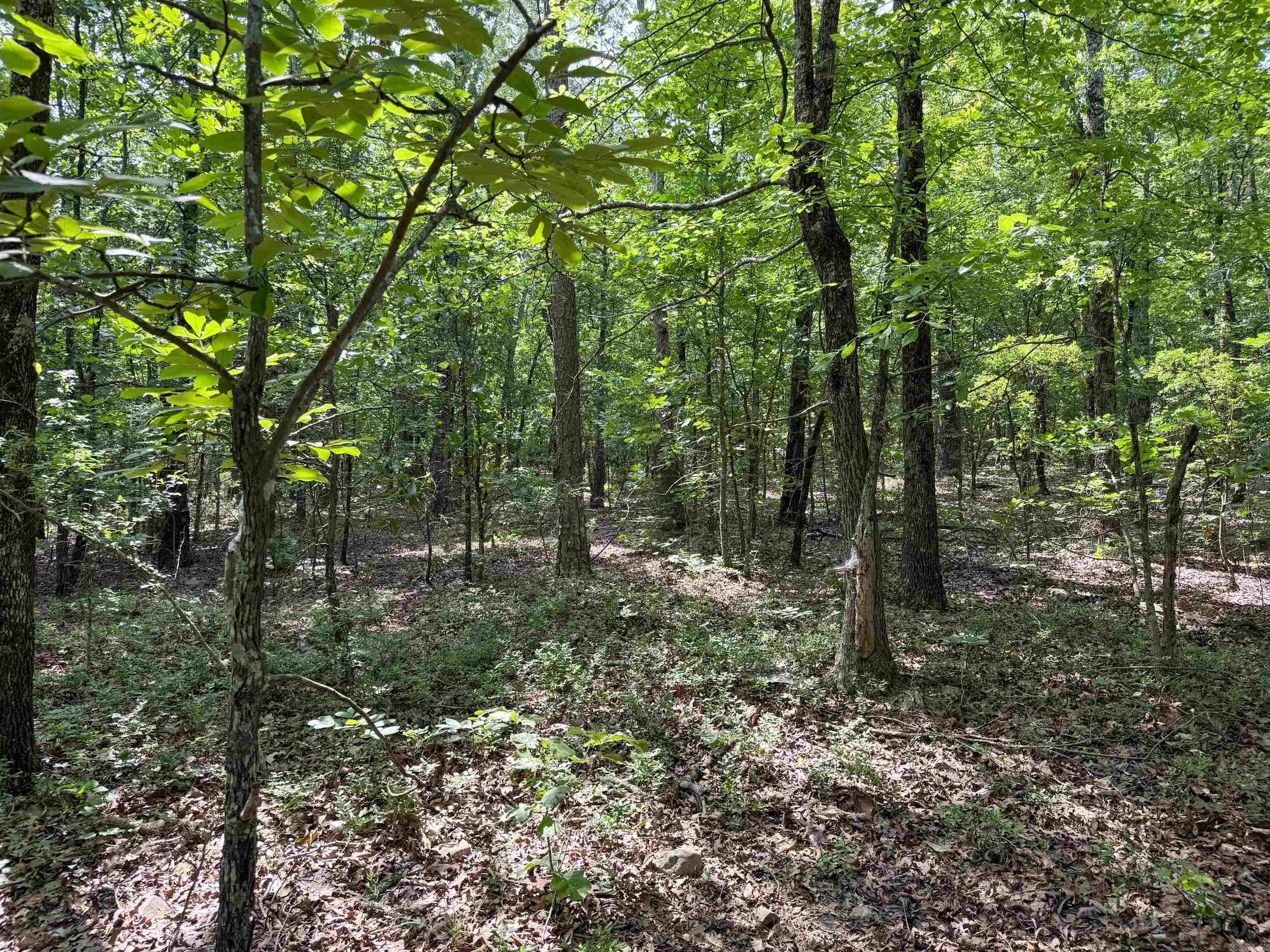 38  High Point  Mayflower, AR