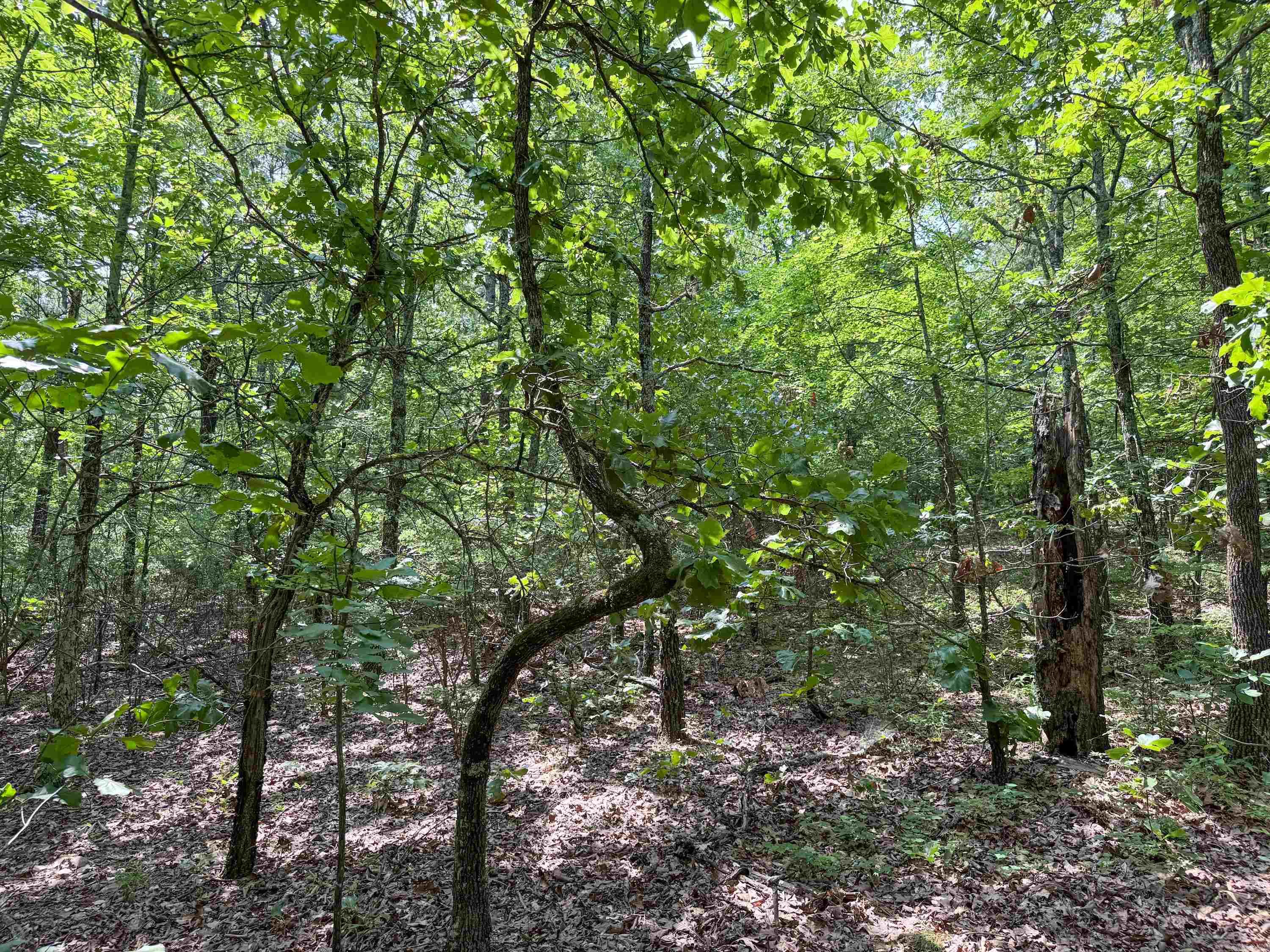 38  High Point  Mayflower, AR