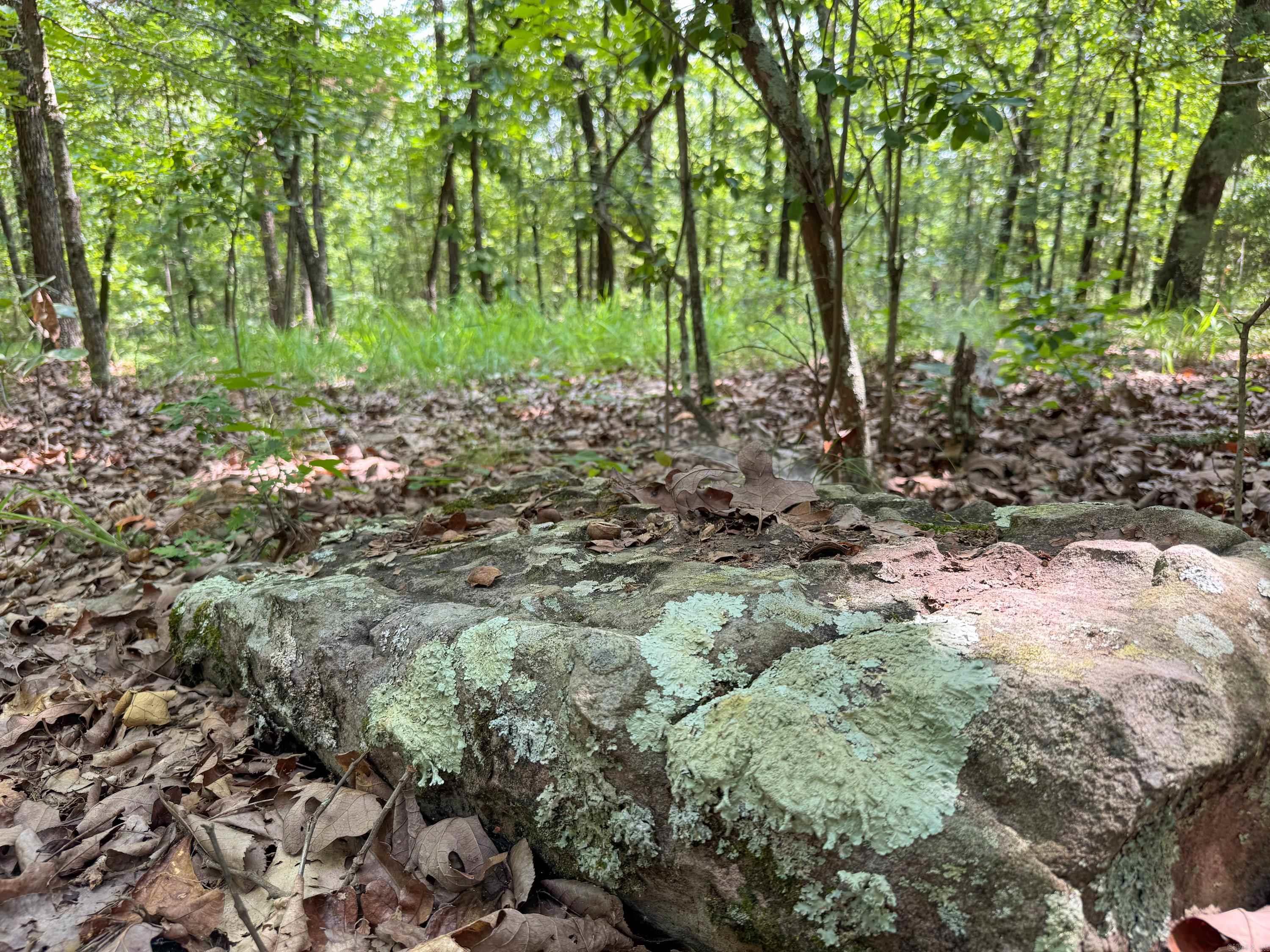 36  High Point  Mayflower, AR