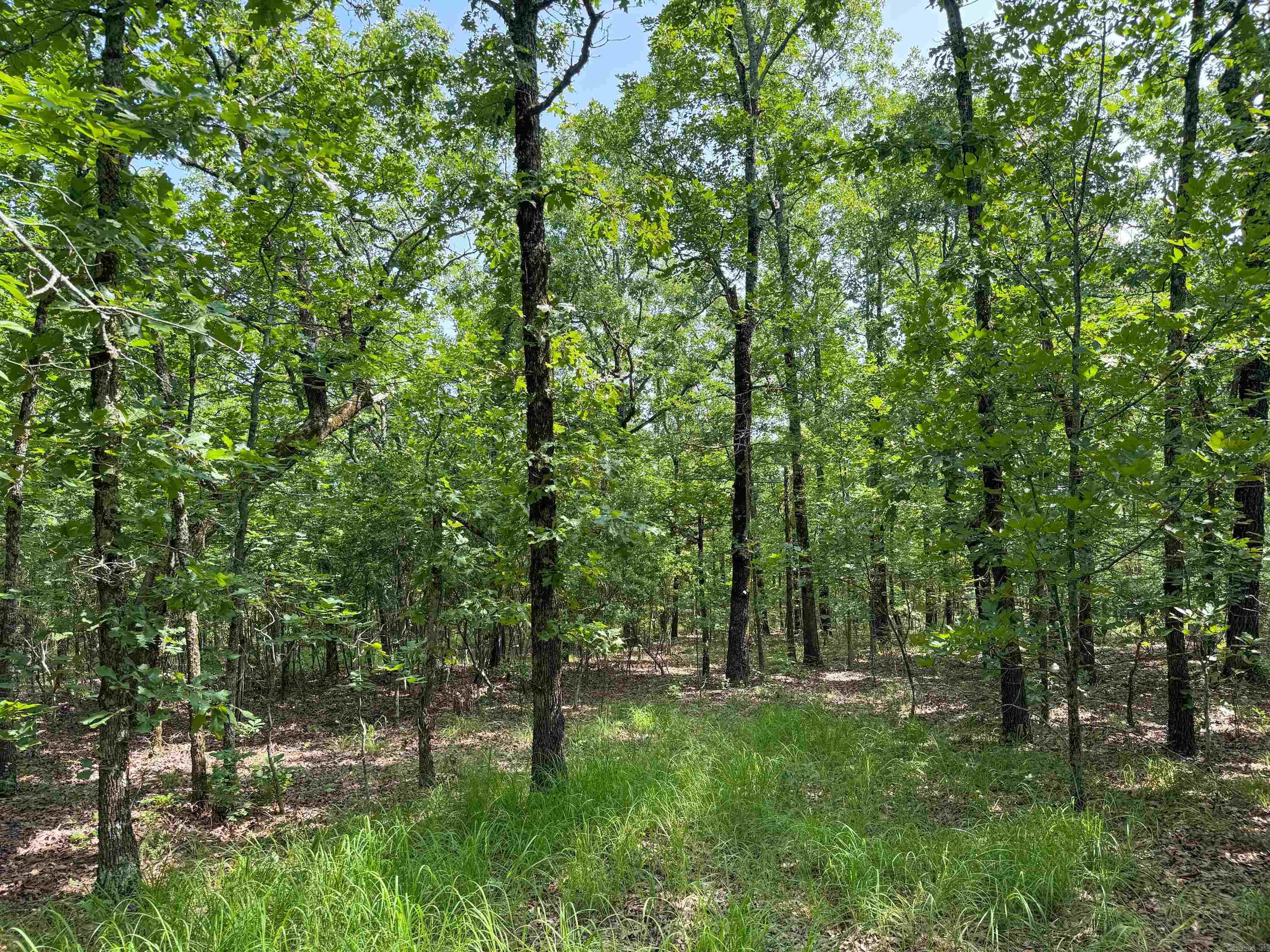 36  High Point  Mayflower, AR