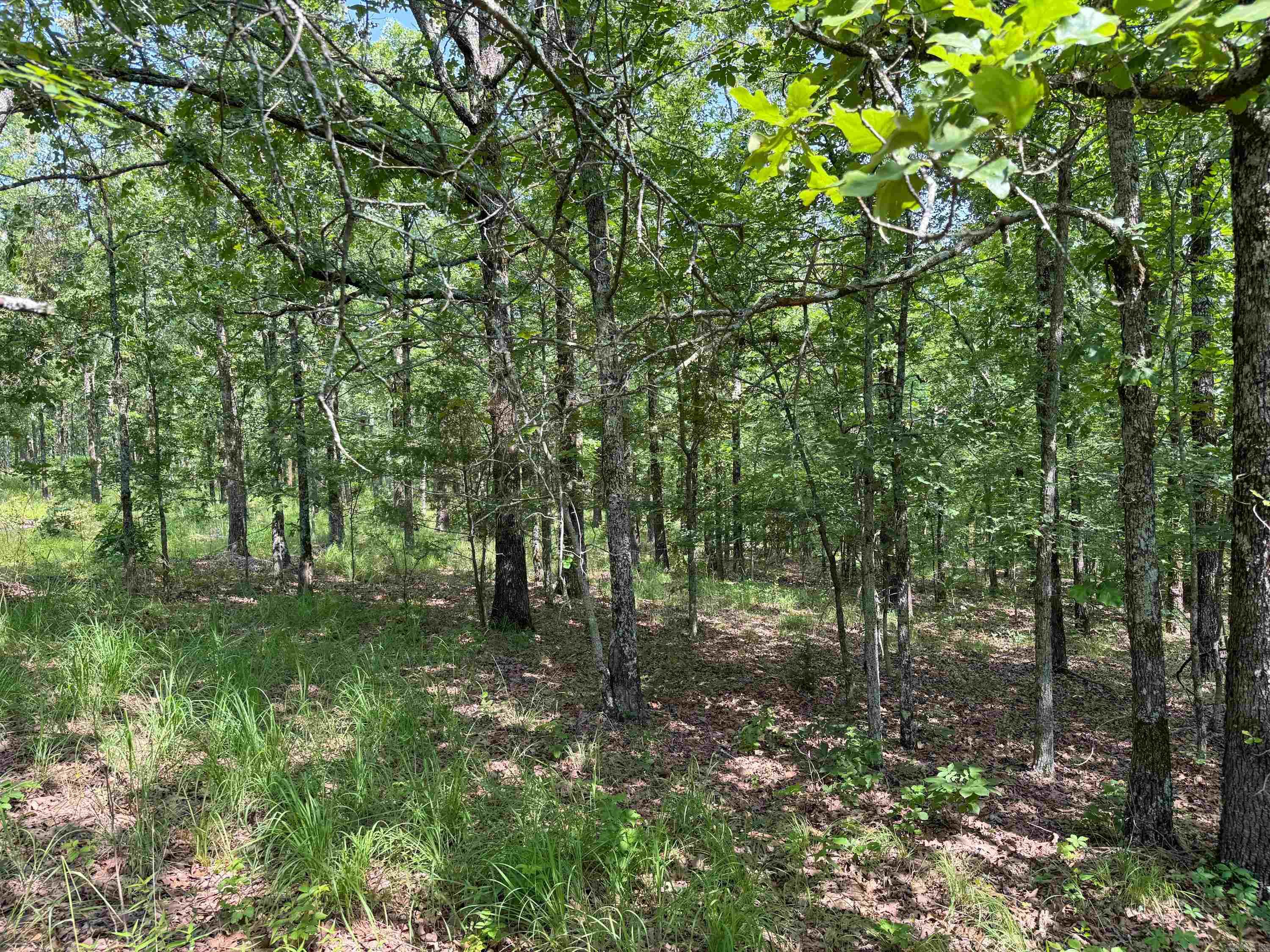 36  High Point  Mayflower, AR