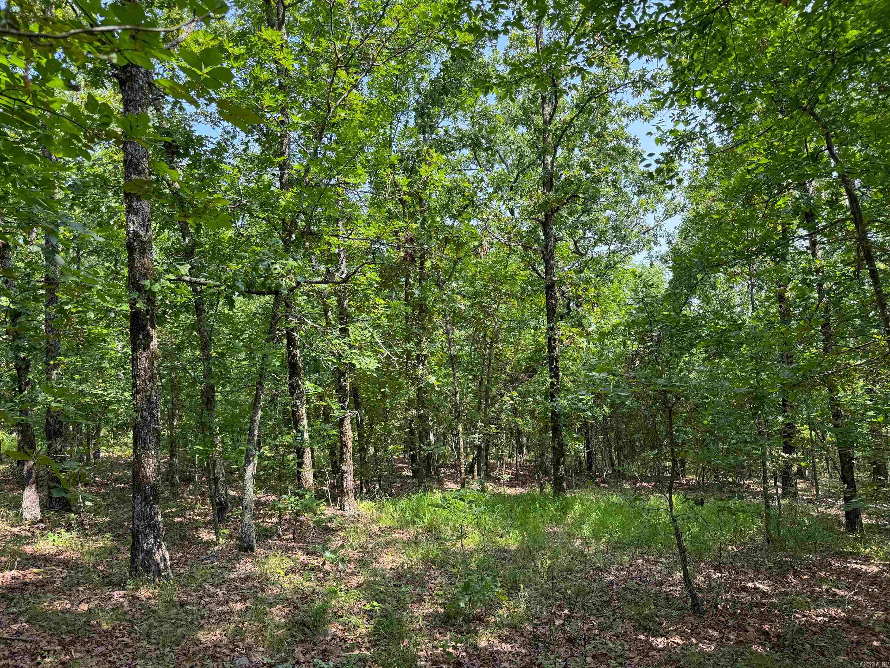 36  High Point  Mayflower, AR