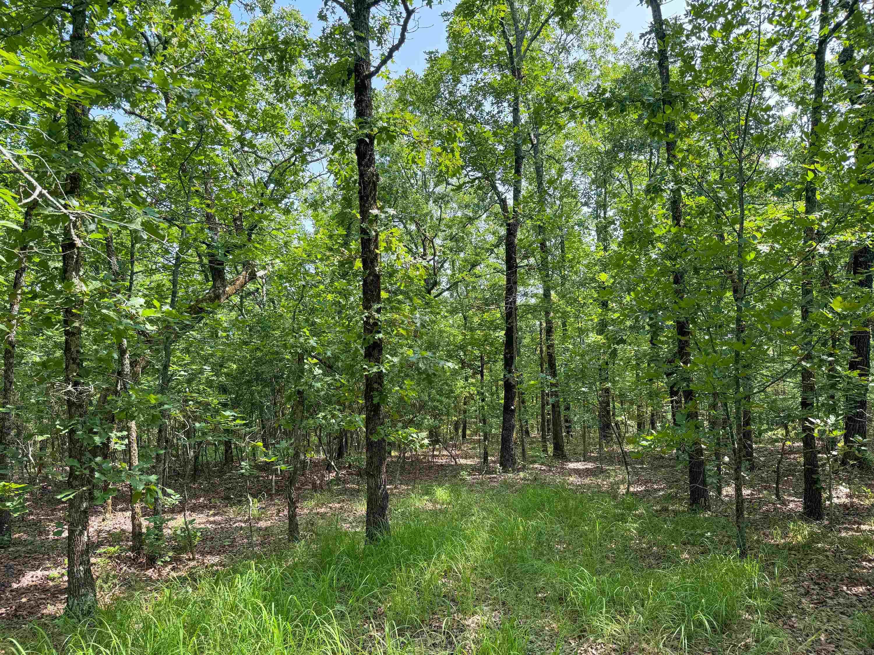 36  High Point  Mayflower, AR