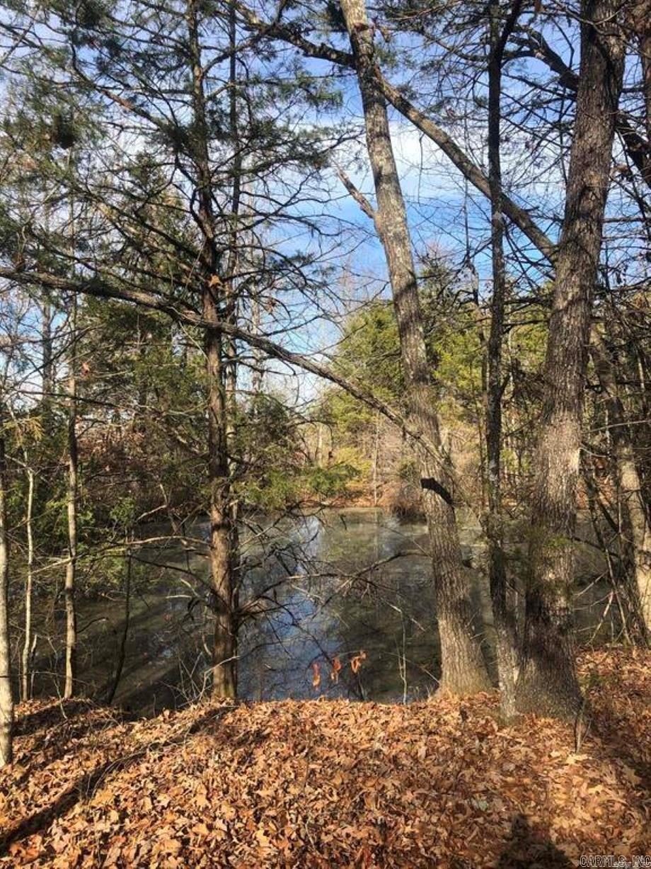 000  Wildhaven  Mountain View, AR