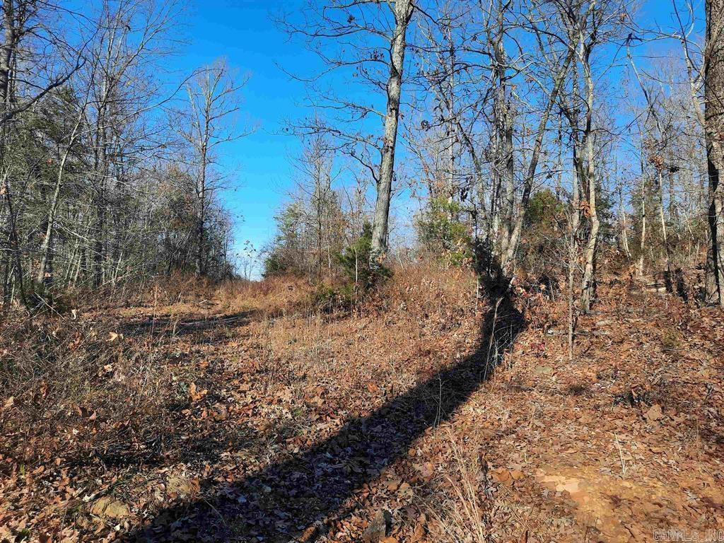 00  Wildhaven  Mountain View, AR