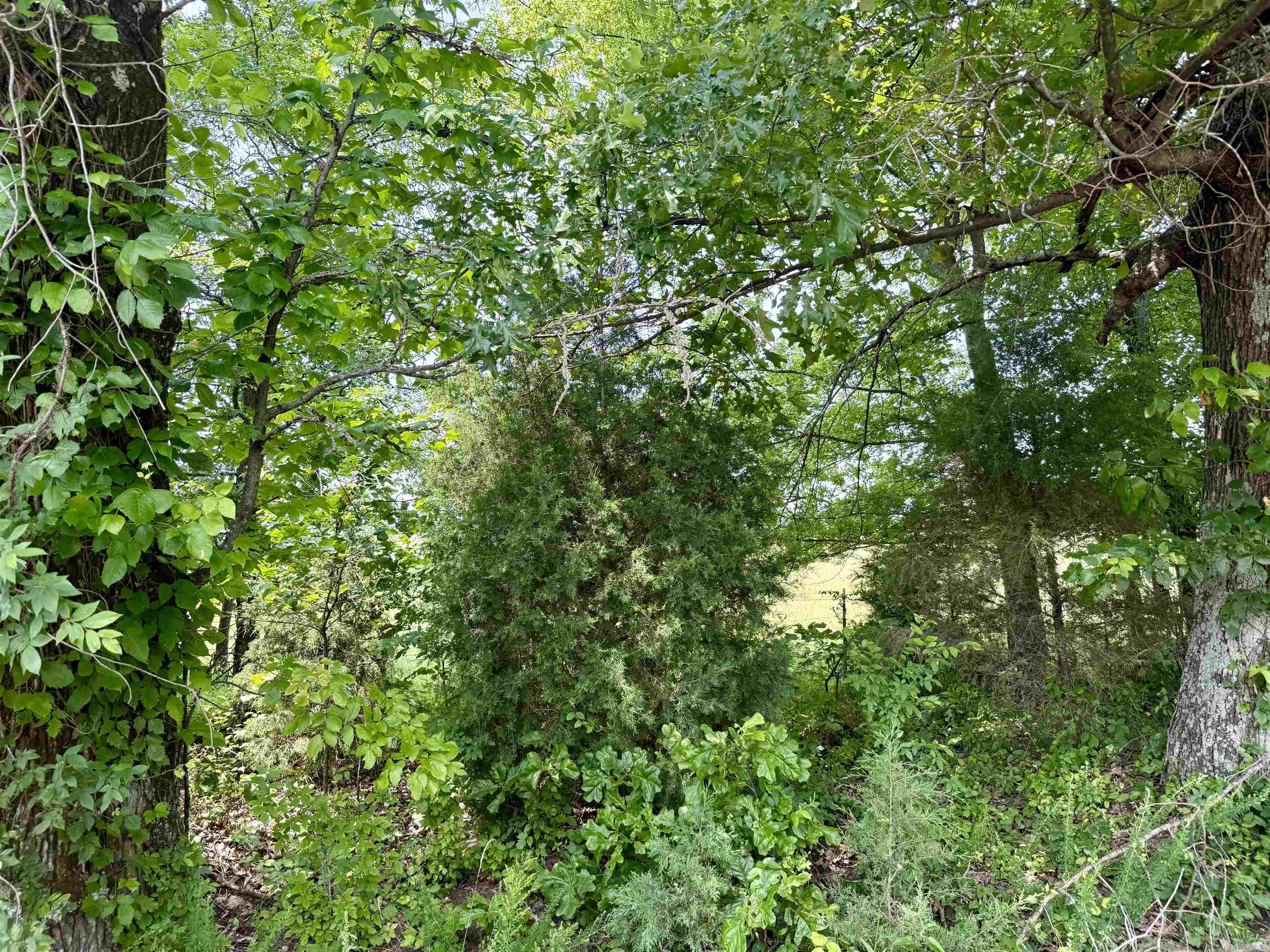 1 acre  CR 747  Brookland, AR