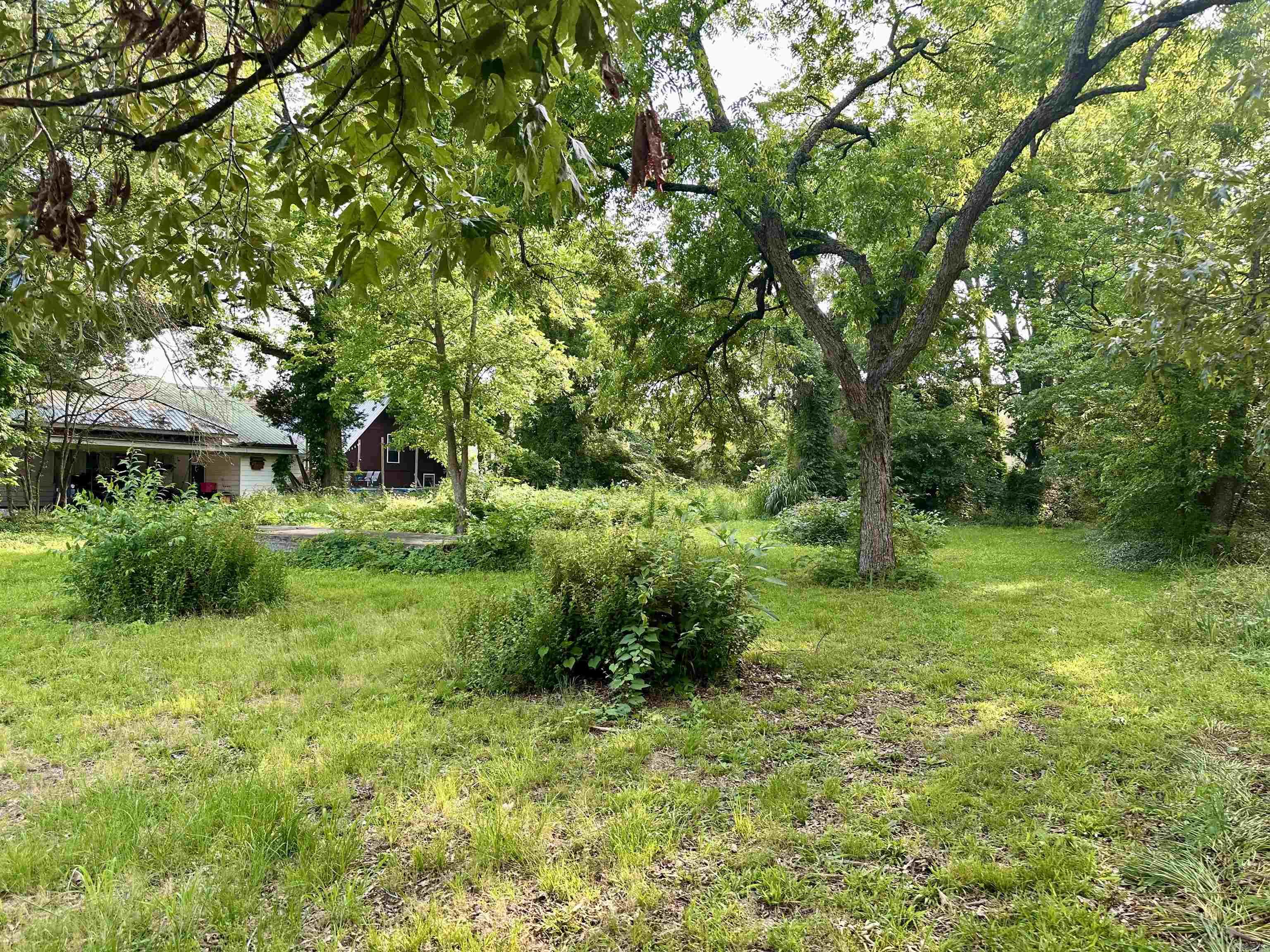1535  Clifton  Conway, AR