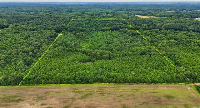 2502  Hwy 163  Wynne, AR