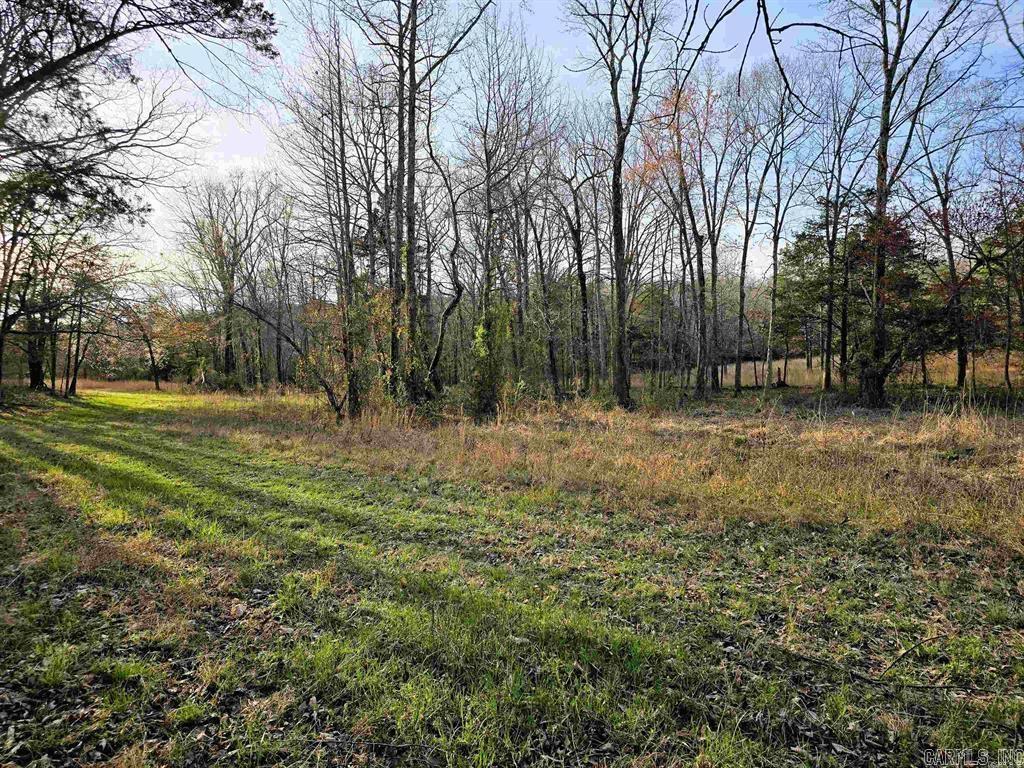 360  Banister Rd.  Greenbrier, AR