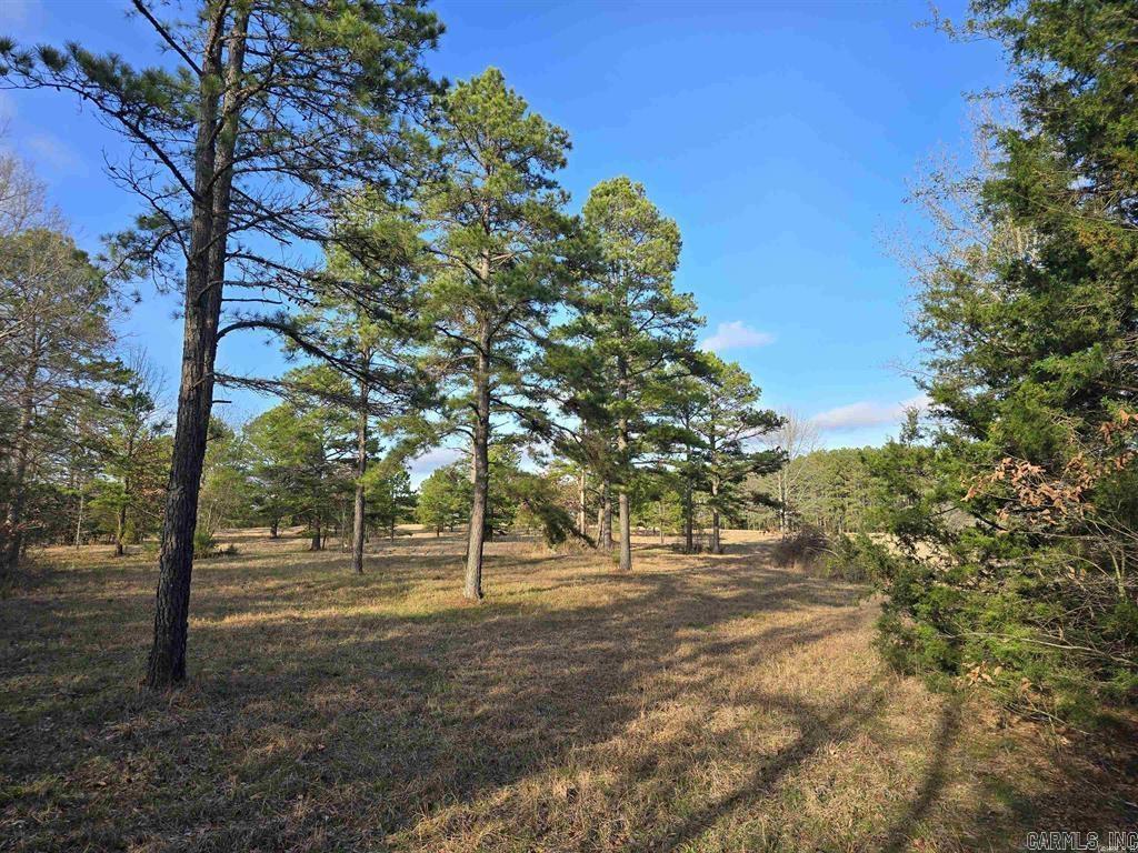 360  Banister Rd.  Greenbrier, AR