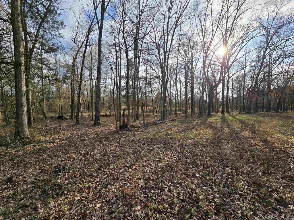 360  Banister Rd.  Greenbrier, AR