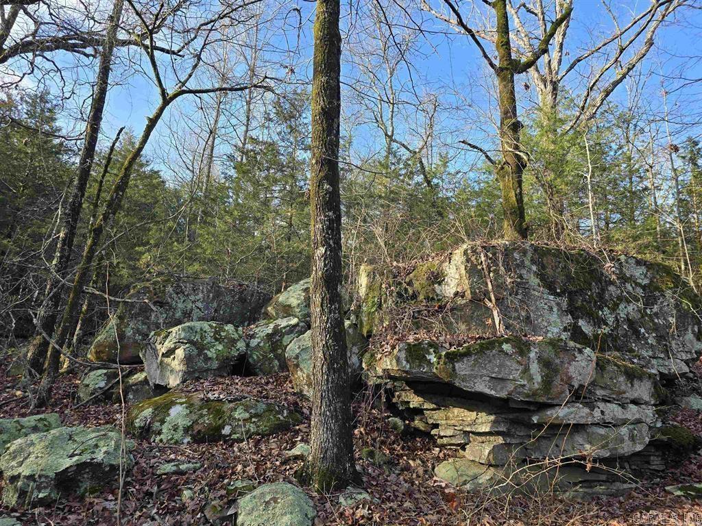 360  Banister Rd.  Greenbrier, AR