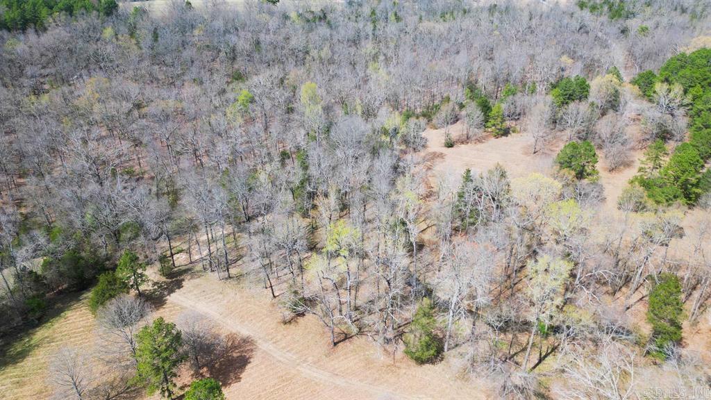 360  Banister Rd.  Greenbrier, AR