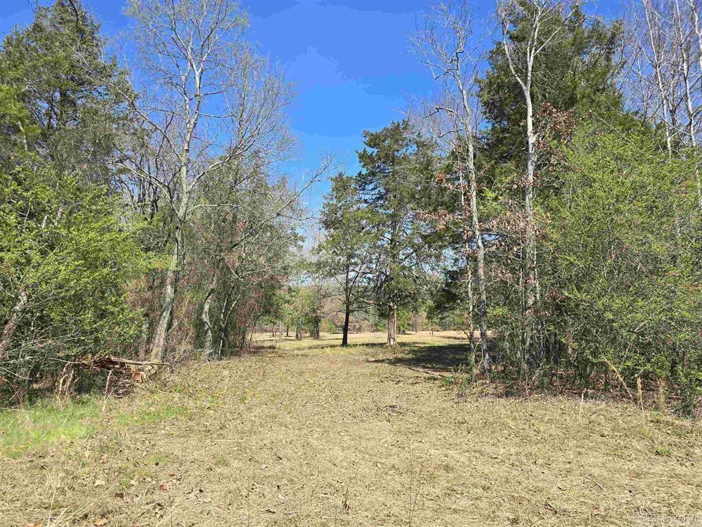 360  Banister Rd.  Greenbrier, AR