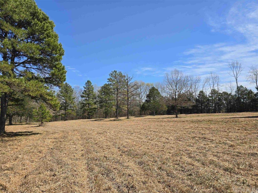 360  Banister Rd.  Greenbrier, AR