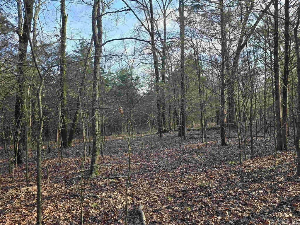 360B  Banister Rd.  Greenbrier, AR