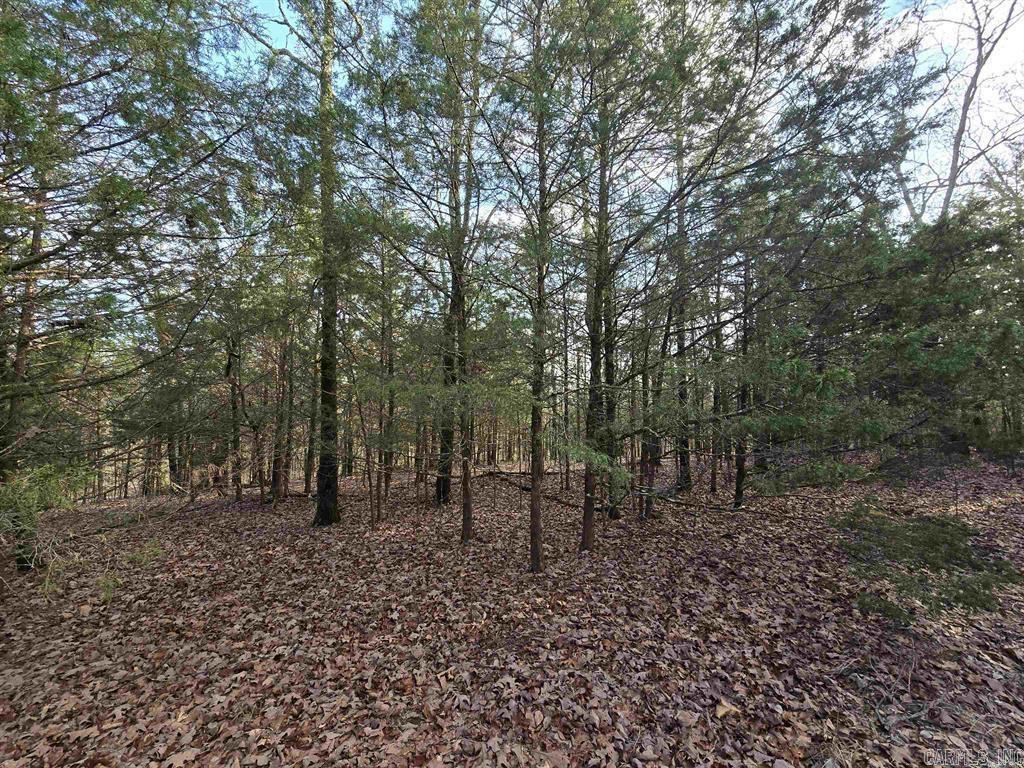 360B  Banister Rd.  Greenbrier, AR