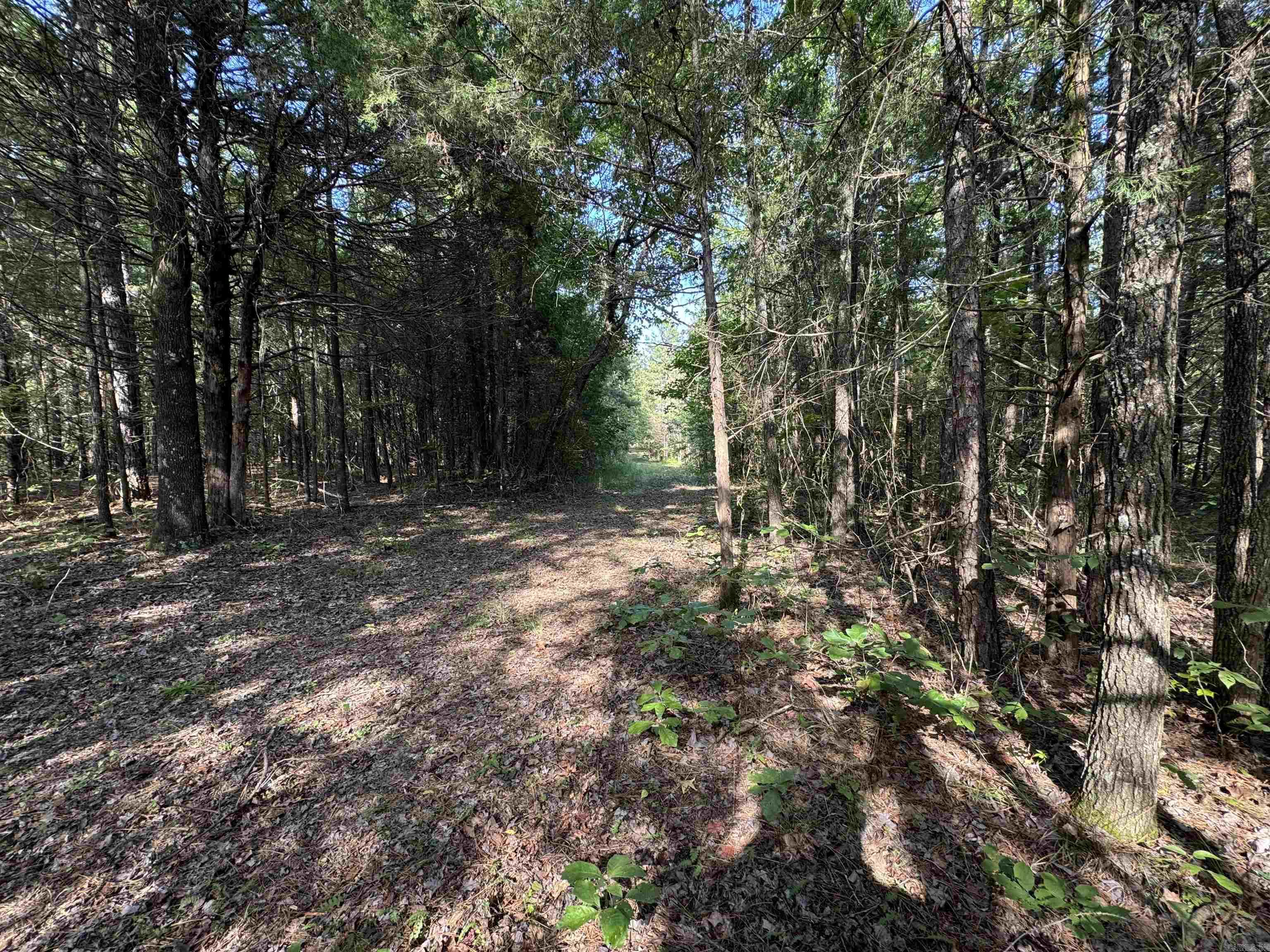 360B  Banister Rd.  Greenbrier, AR