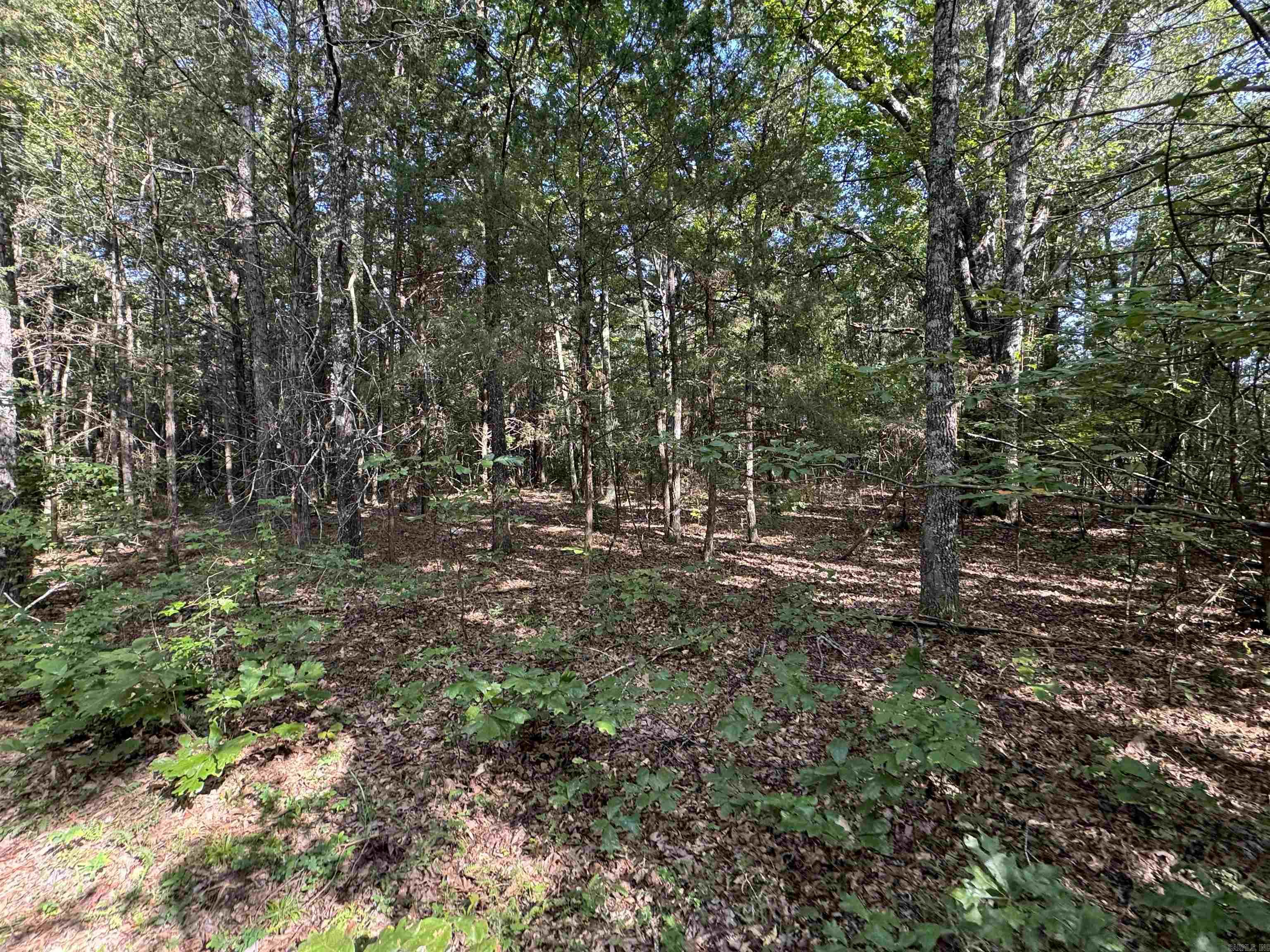 360B  Banister Rd.  Greenbrier, AR