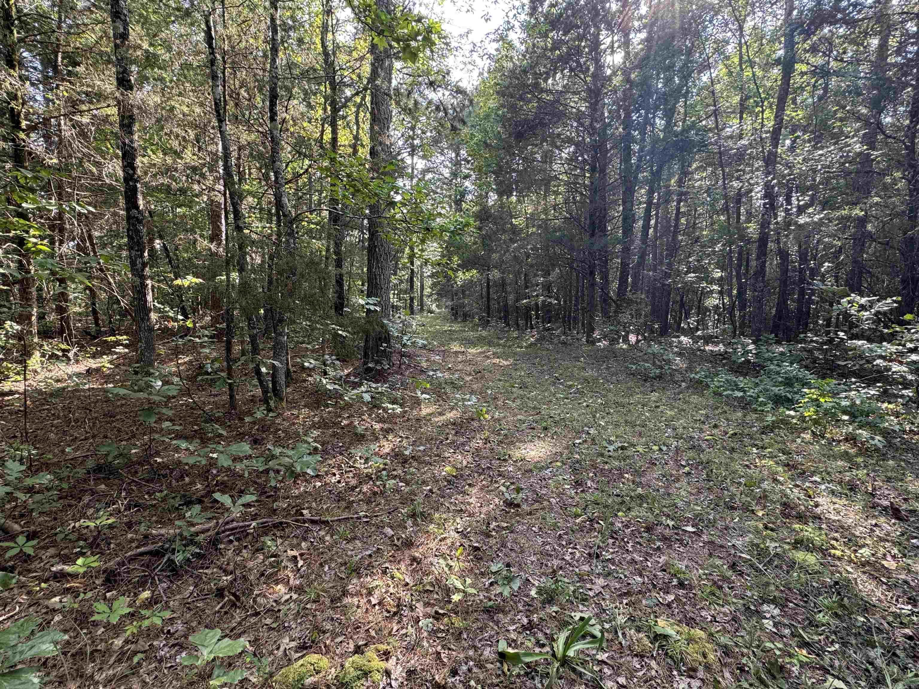 360B  Banister Rd.  Greenbrier, AR