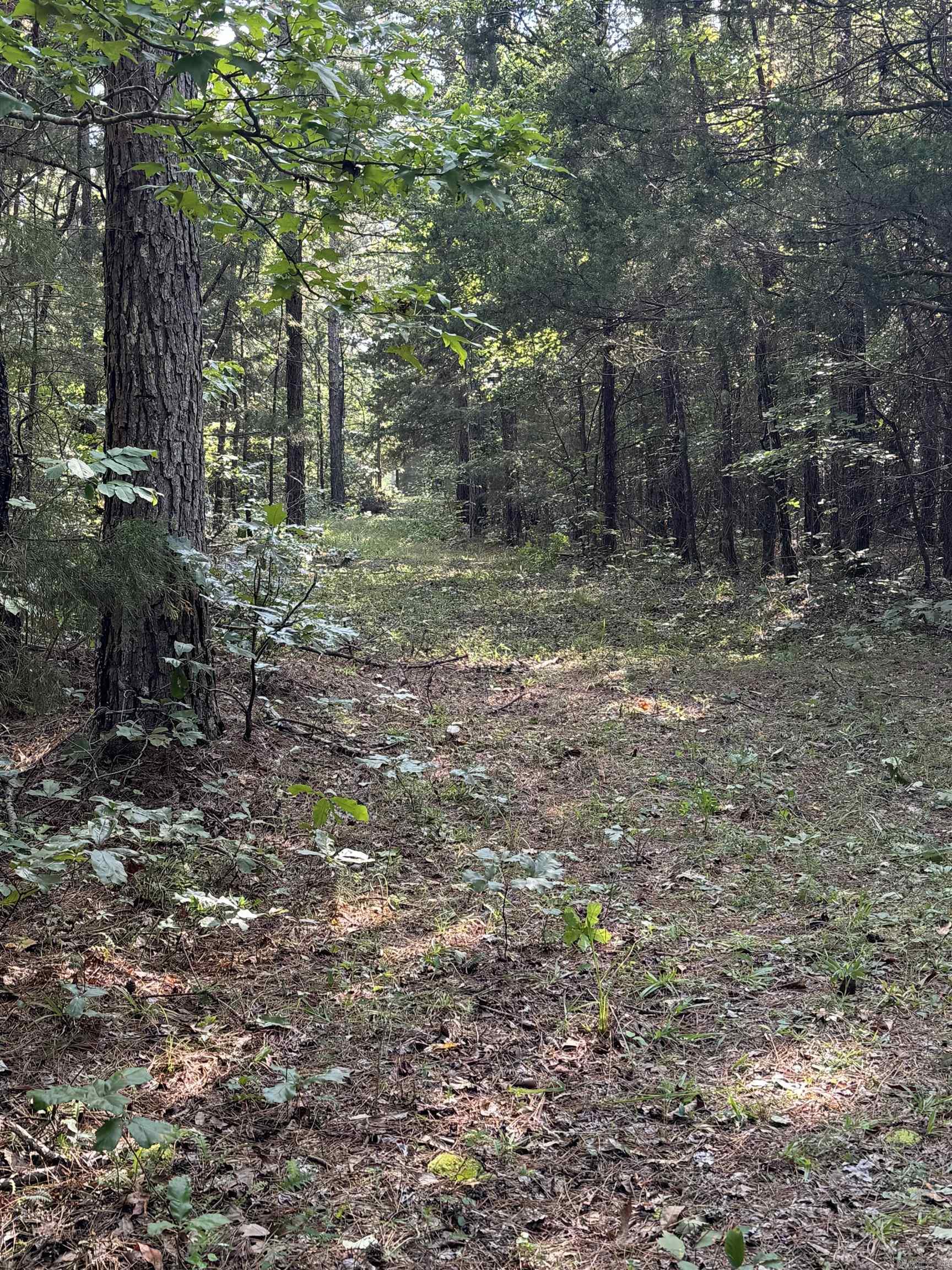 360B  Banister Rd.  Greenbrier, AR