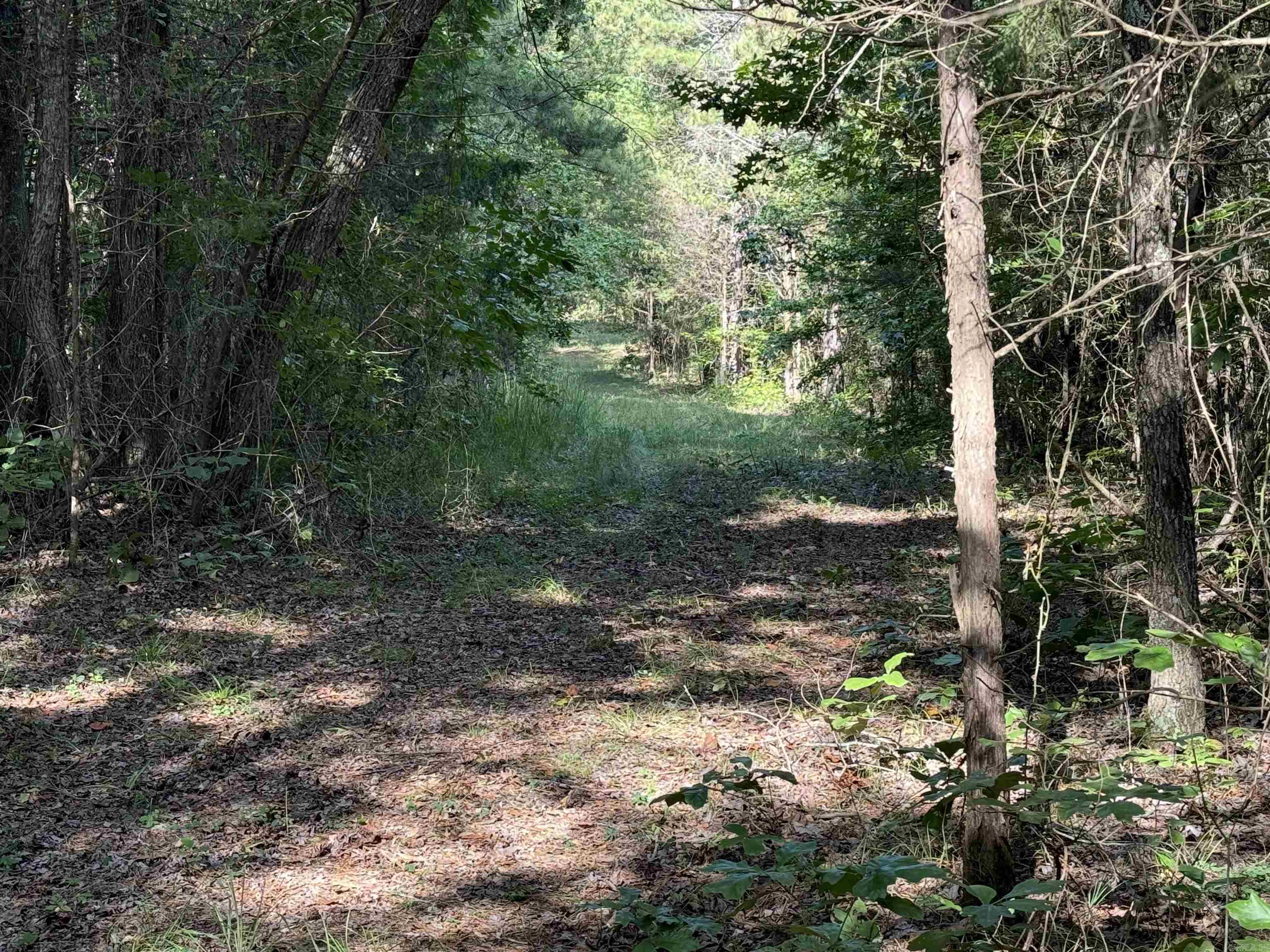 360B  Banister Rd.  Greenbrier, AR