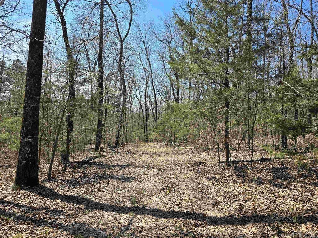 360B  Banister Rd.  Greenbrier, AR