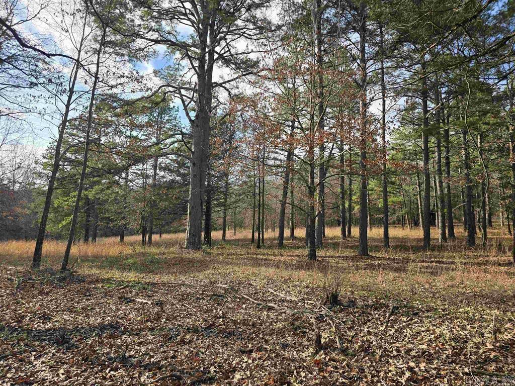 360B  Banister Rd.  Greenbrier, AR